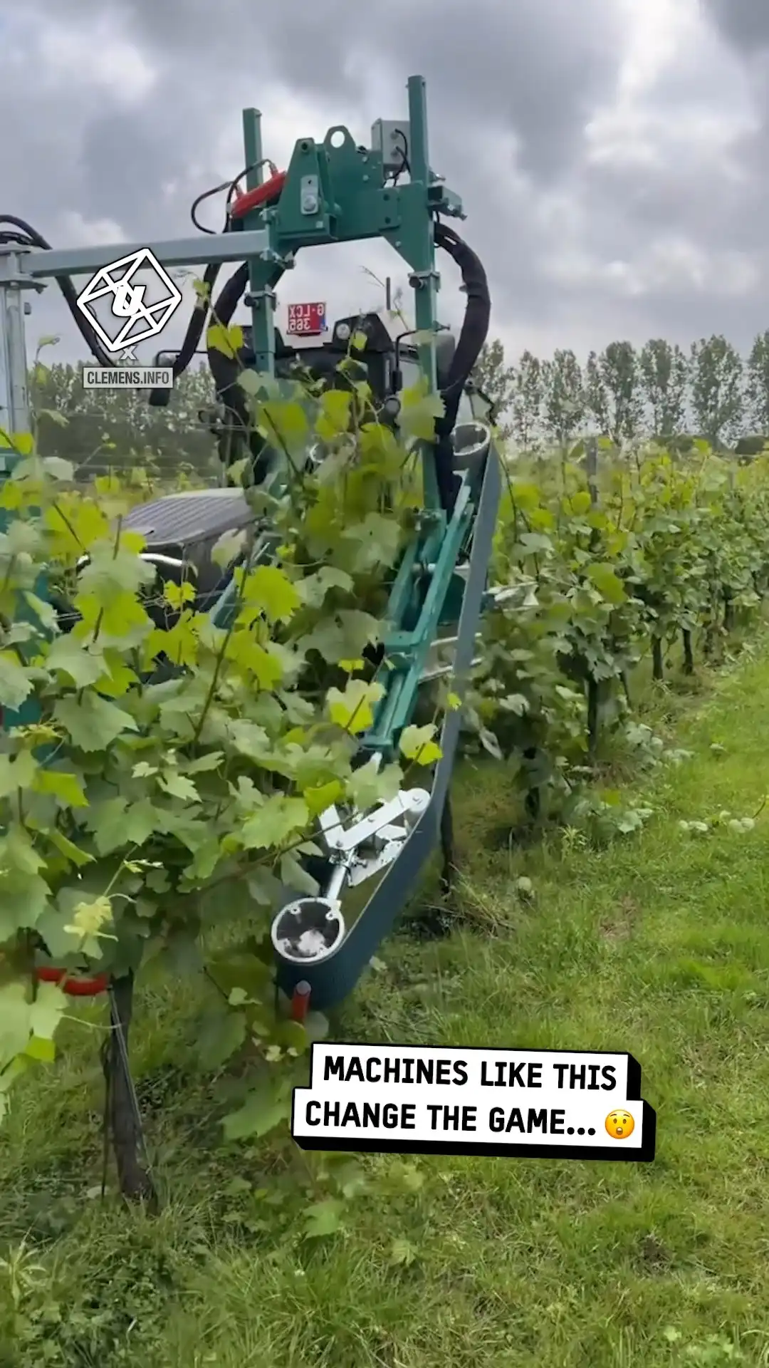 This machine changes the grape harvesting game 🤯🍇
