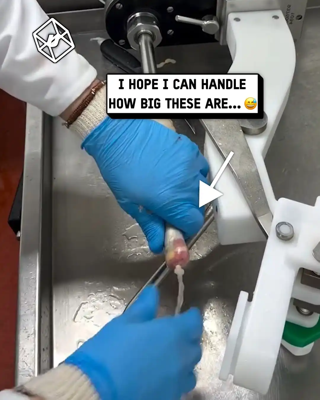 I love making my own sausages 😮‍💨🌭