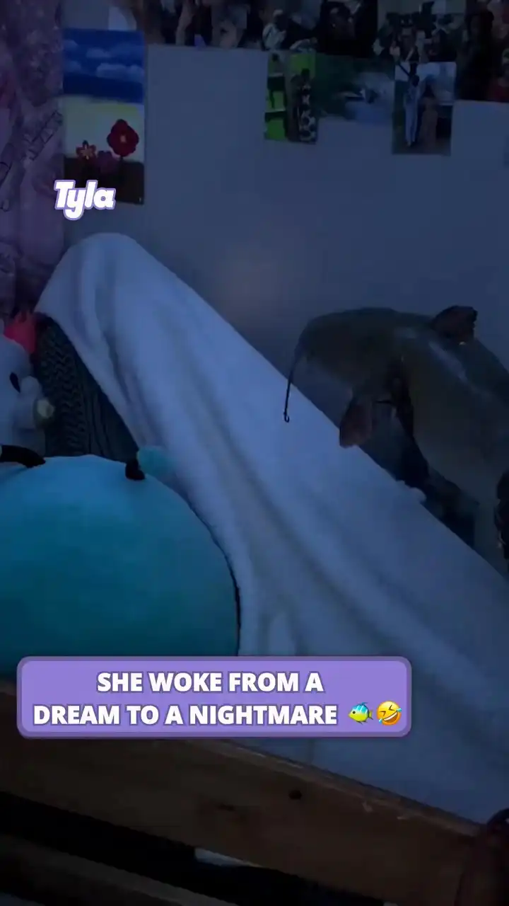 That's one way to traumatise her 🤣🐟