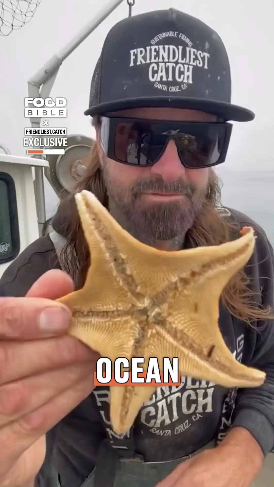 Sea stars are so interesting