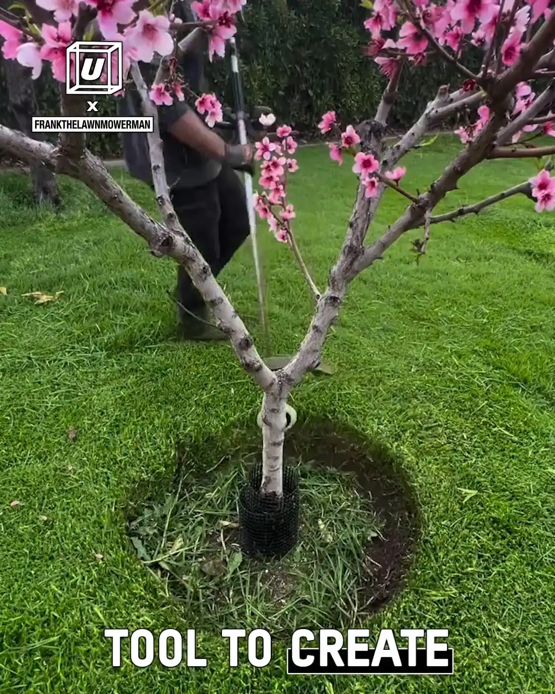 Satisfying lawn maintenance ๐ฎโ๐จ๐
