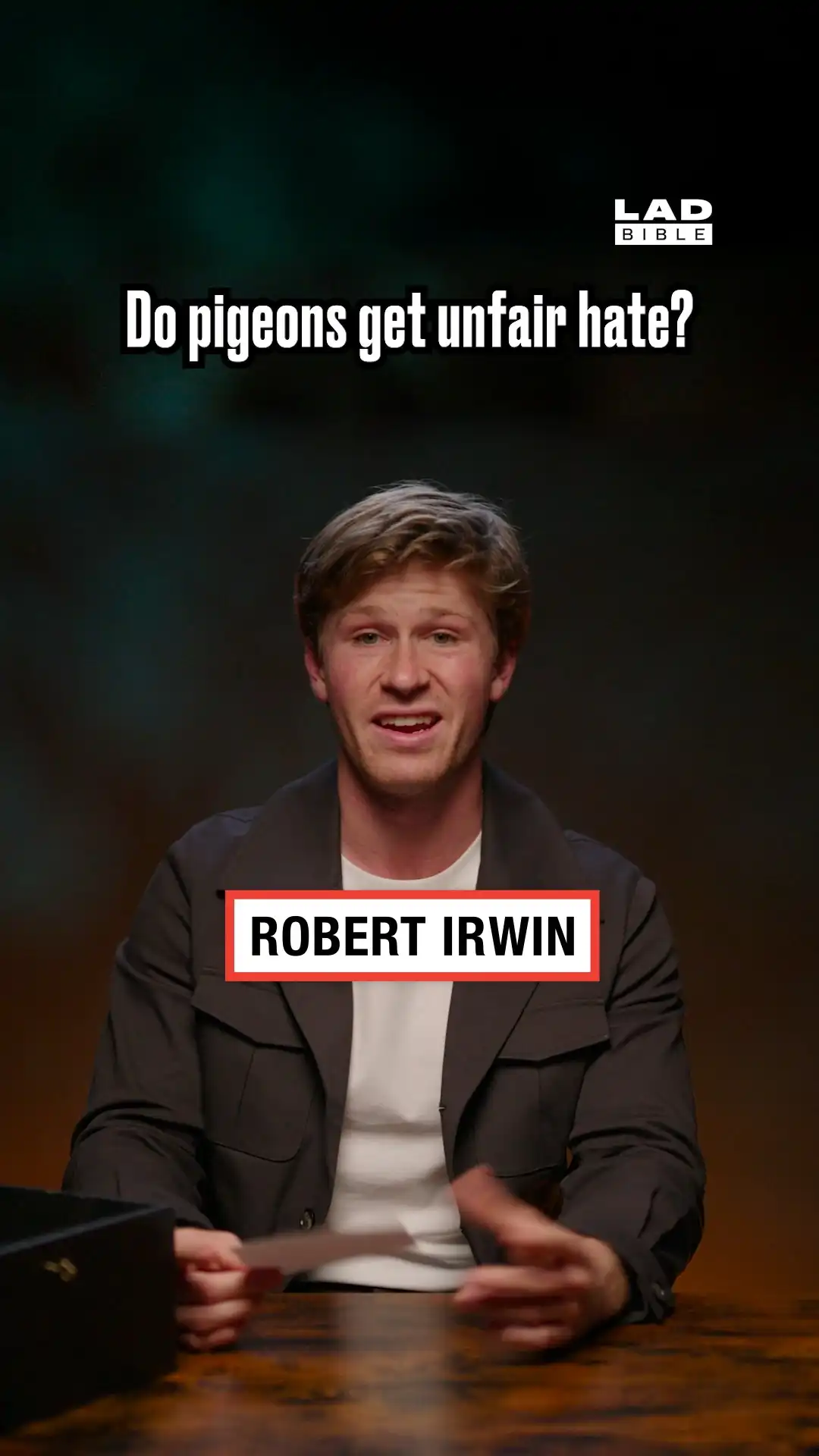 Robert Irwin on the unfair haite pigeons get