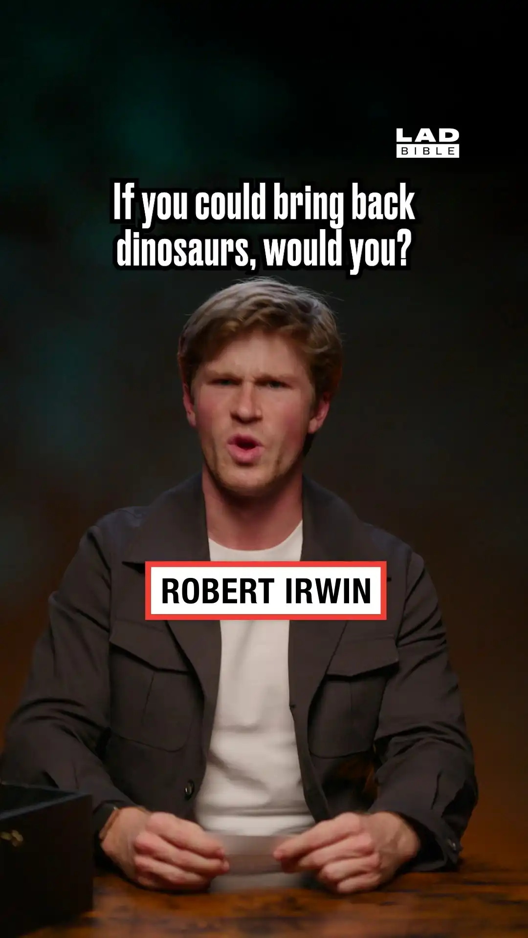 Robert Irwin on dinosaurs
