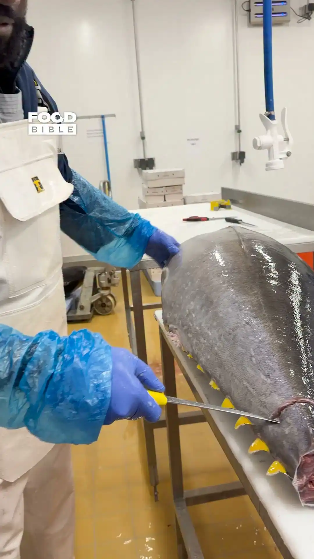 How I prepare a whole tuna