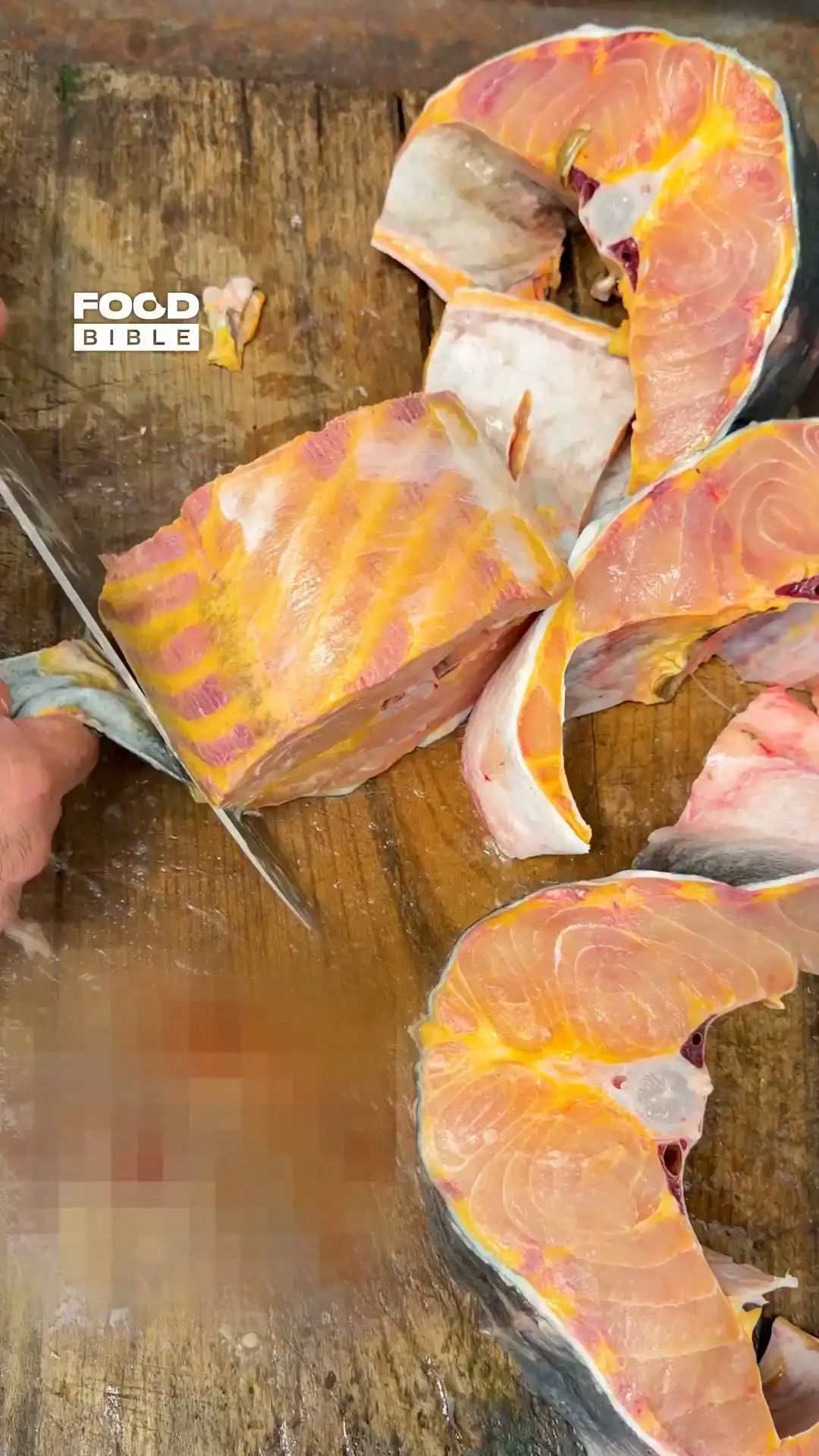 I've never seen fish this colourful before 🤯🐠