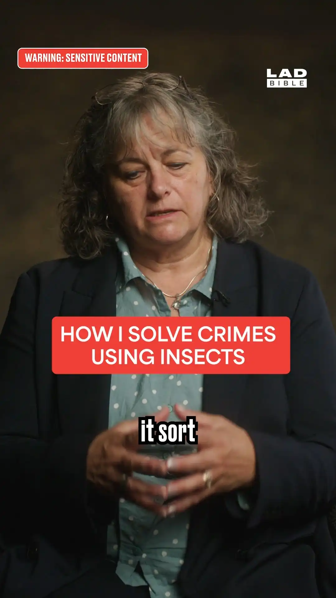 How i solve crimes using insects