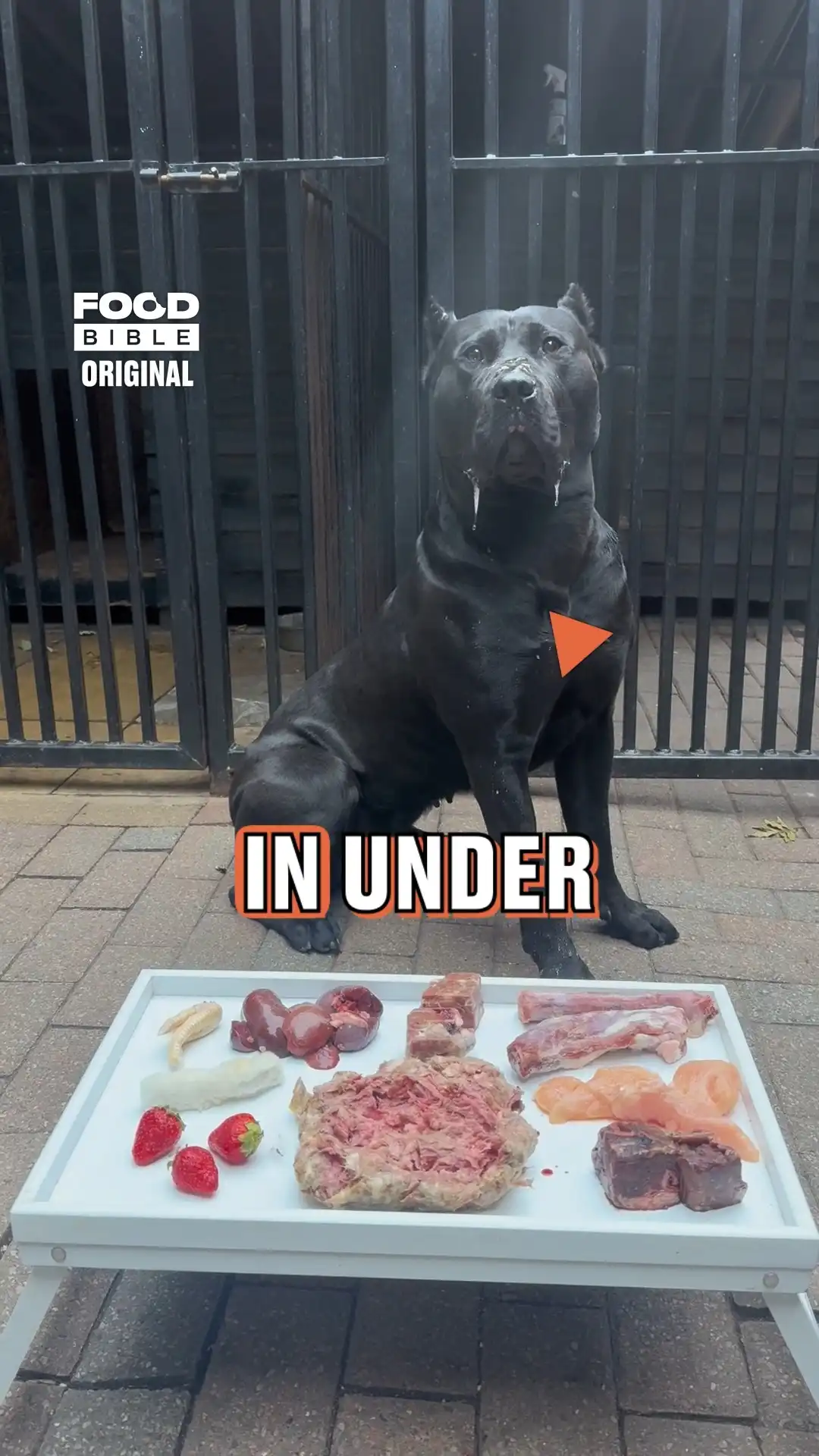 She is an absolute boss! π± πͺ
