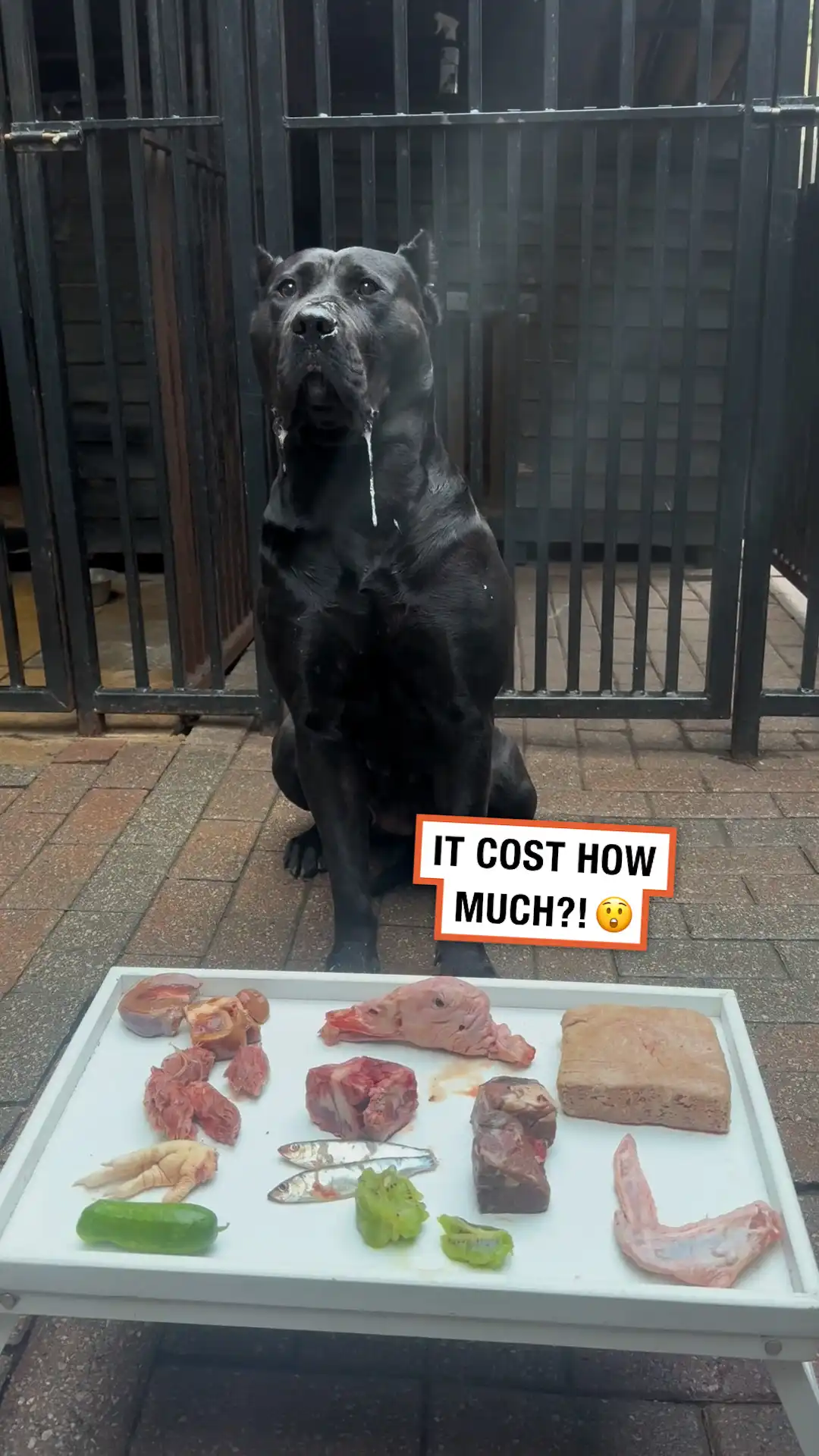 Worth every penny! π