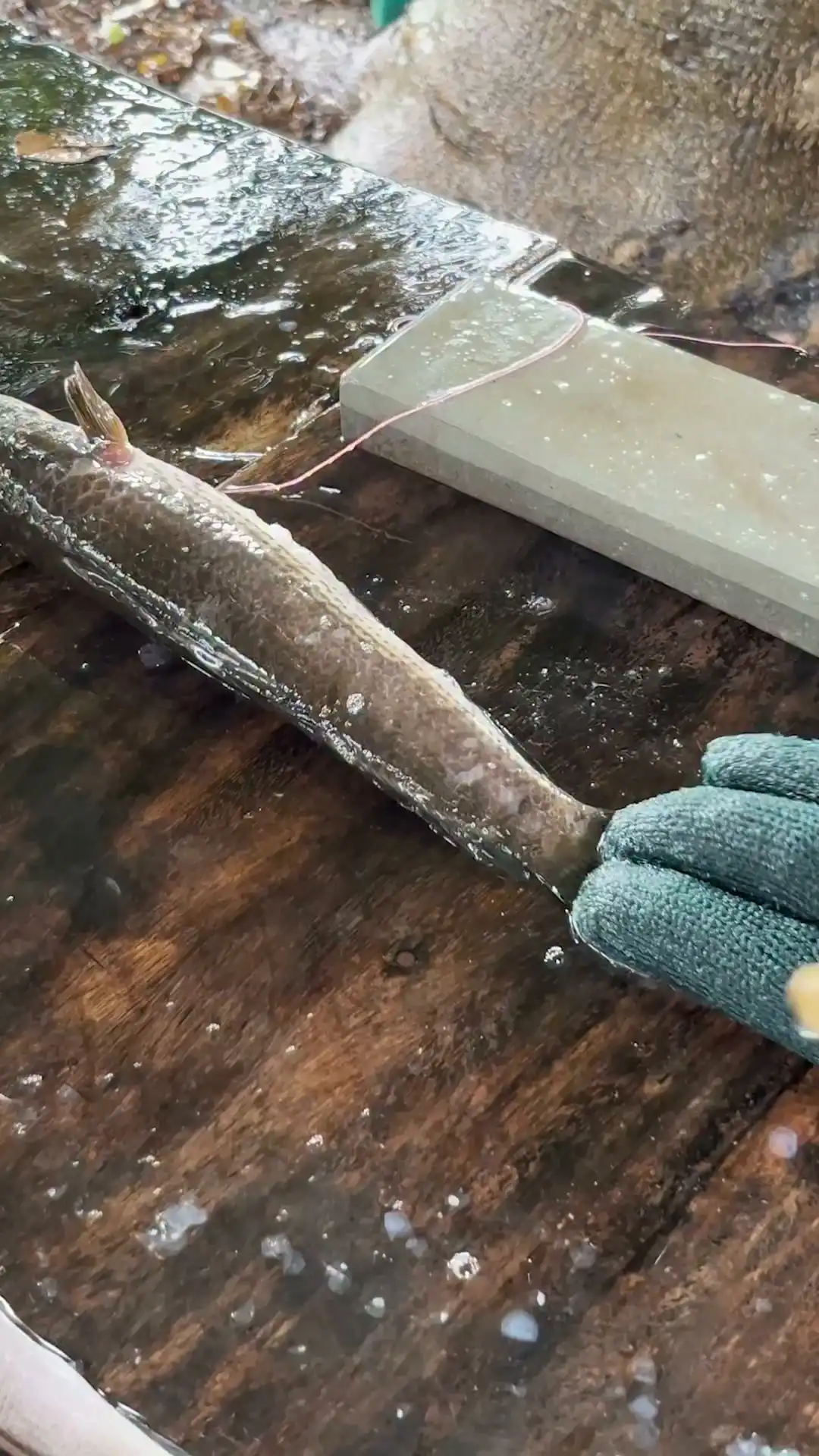 Powerwashing a what?!