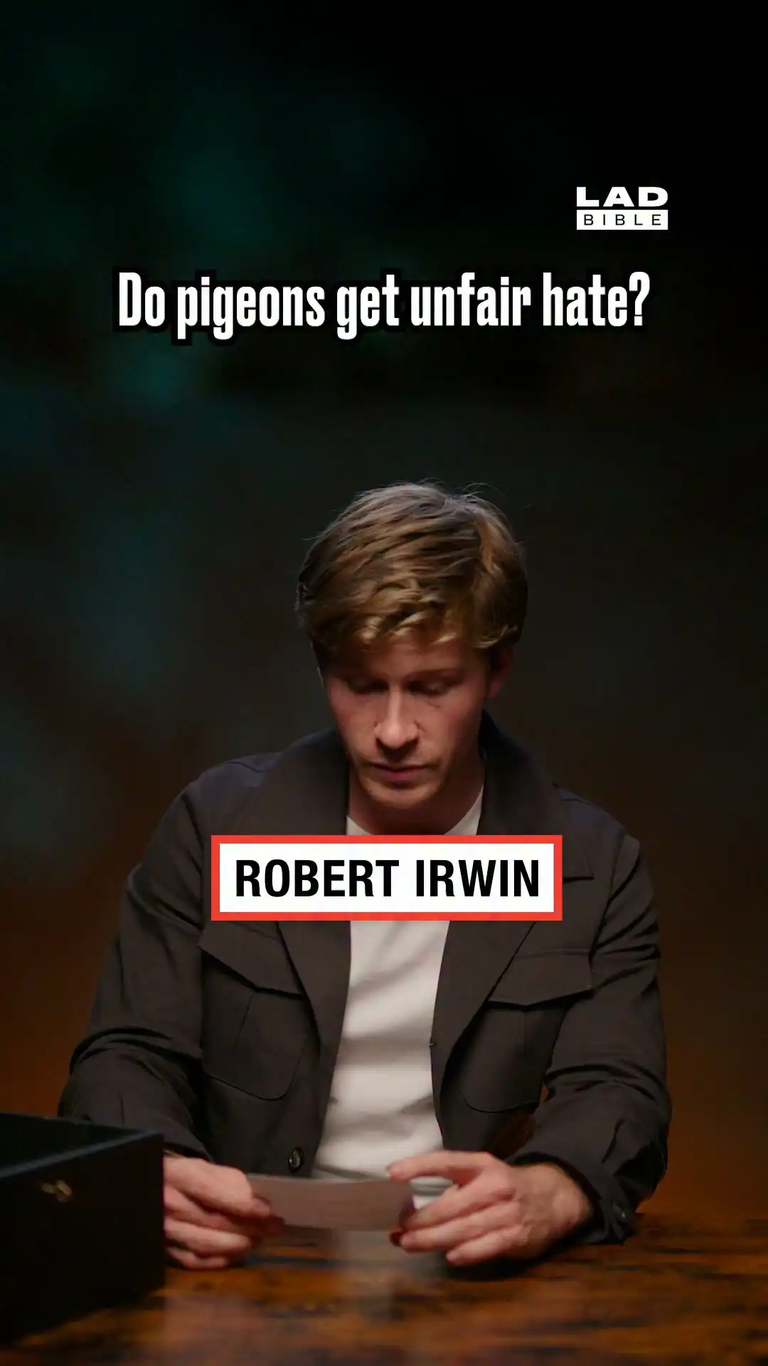 "I think pigeons are awesome." ⁠
⁠
We sat down with Robert Irwin in this episode of Honesty Box, available now on LADbible Stories 📺⁠
⁠
#honestybox #ladbibleoriginal #ladbible