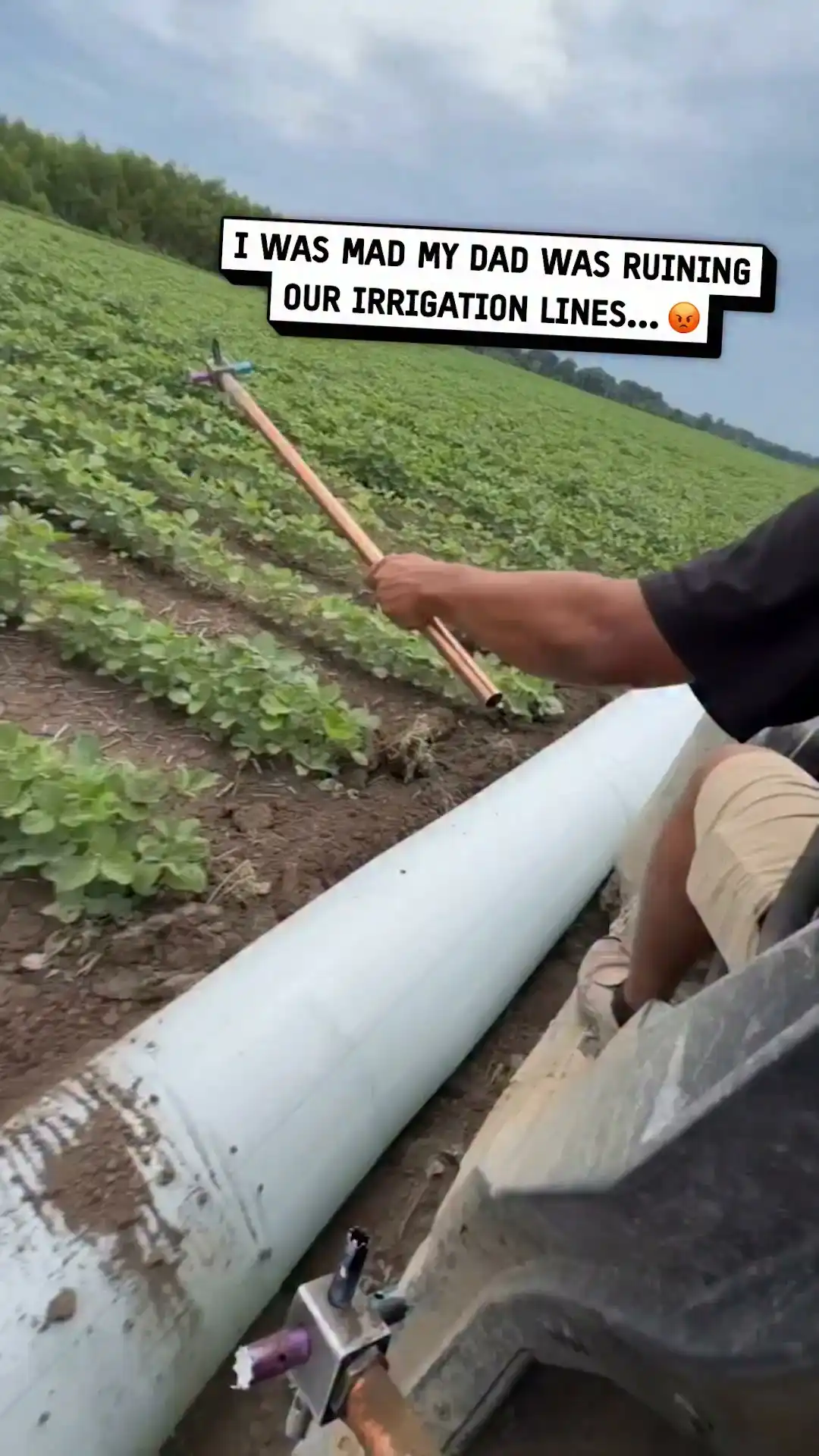 He said it was the ultimate farming hack 😲 #hack #farming #interesting

Credit: @lareynaruiz06, @Farmboxfoods, @kouji.iitsuka & @tractor_frinds on Instagram