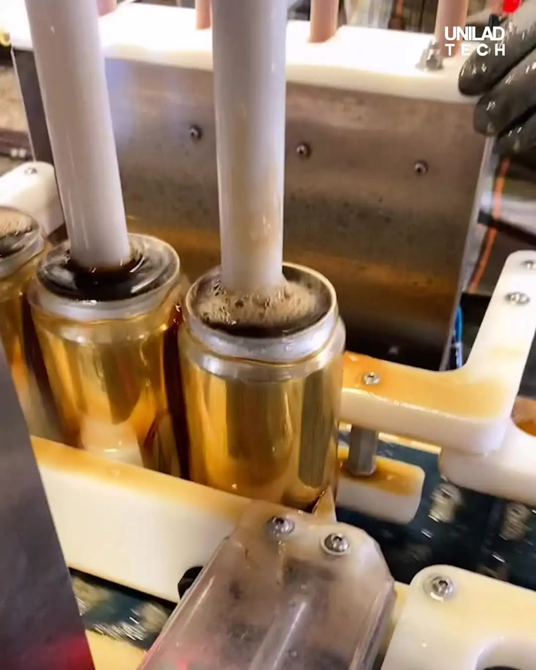 Fascinating Behind-The-Scenes At A Brewery