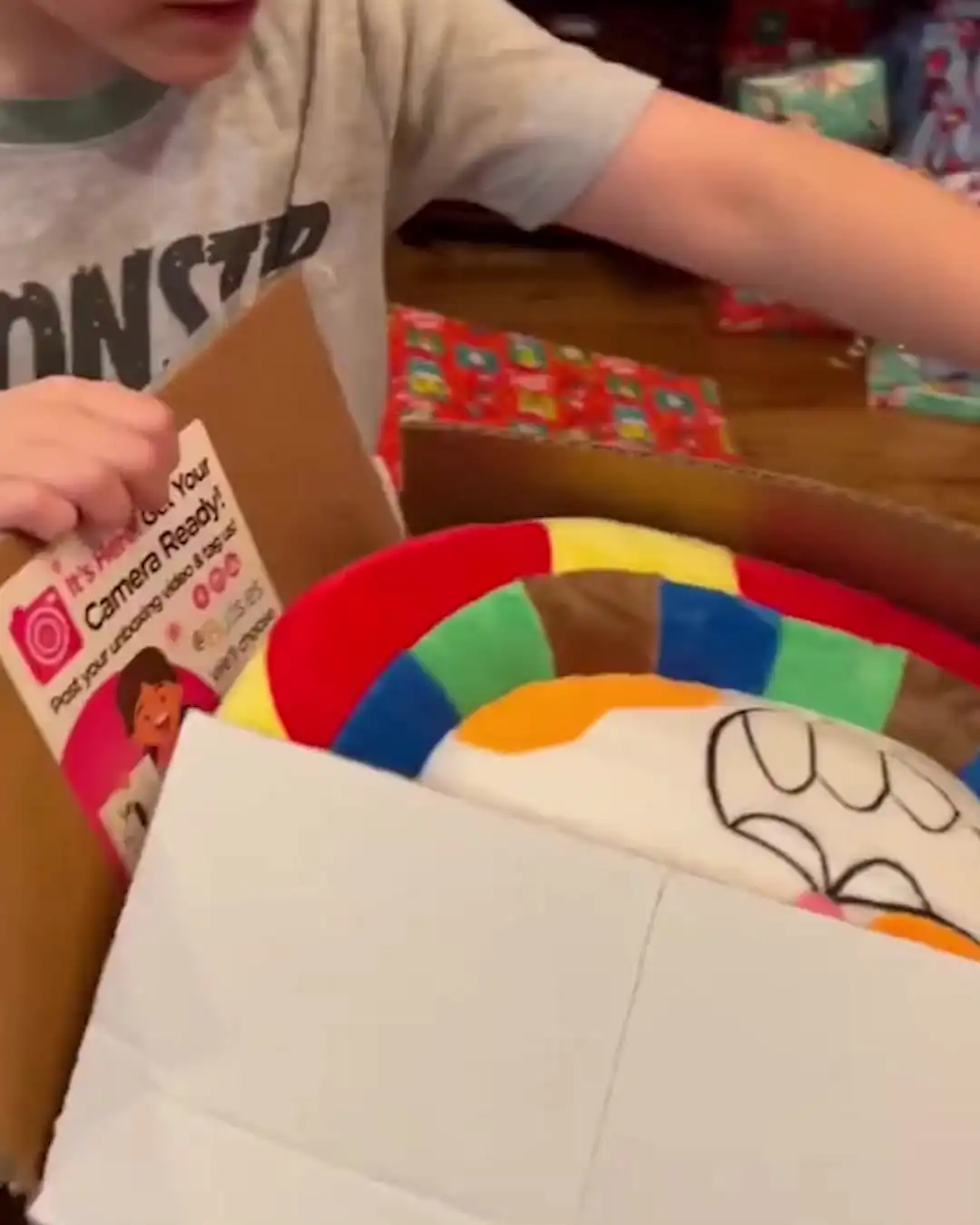Kid gets a plushie of his drawing for Christmas