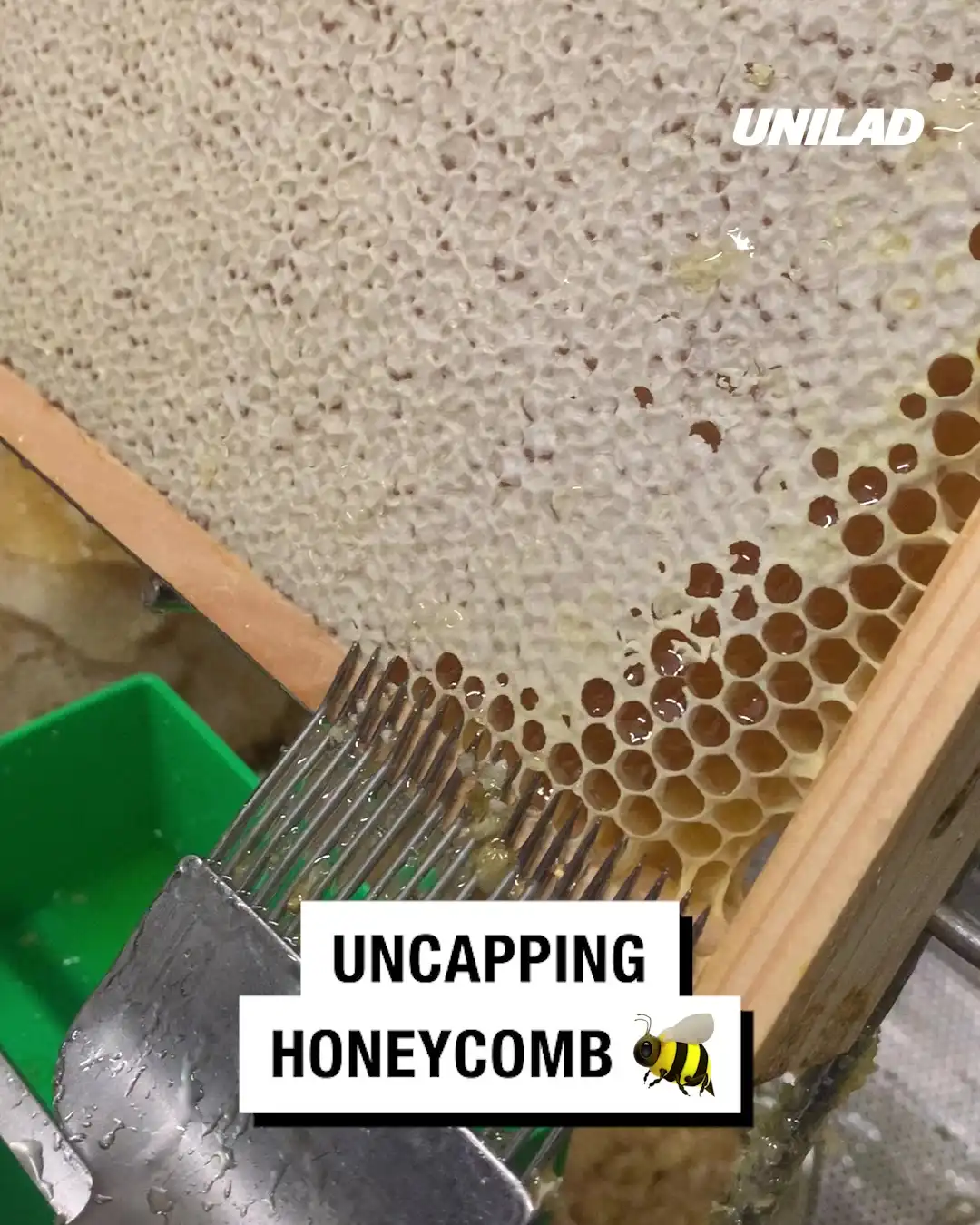 Uncapping honeycomb