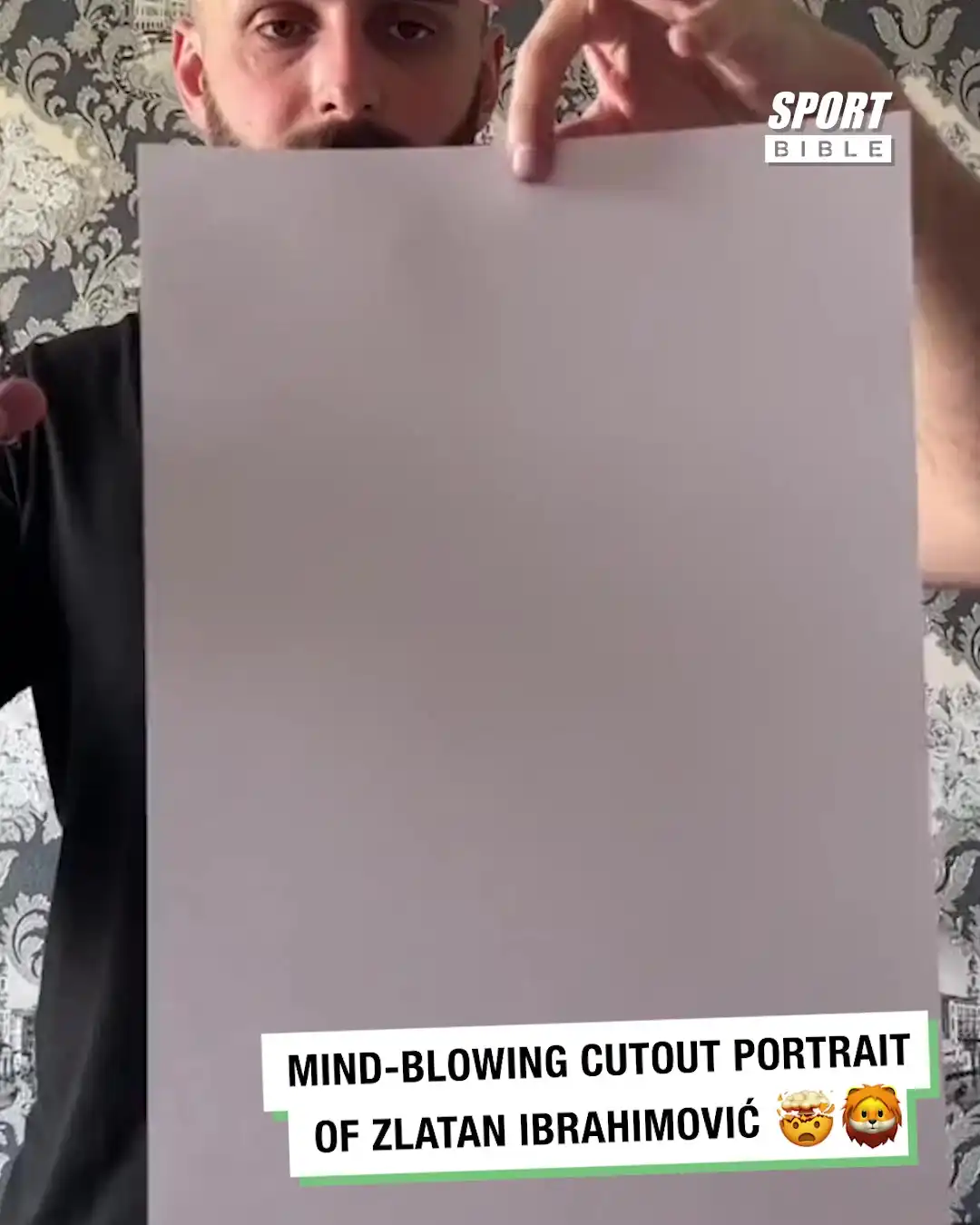 Mind-Blowing Cutout Portrait Of Zlatan Ibrahimović 🤯🦁