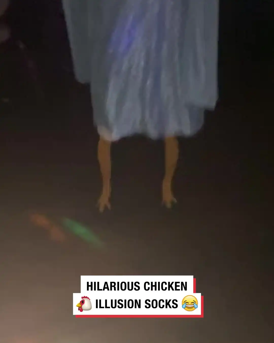 Hilarious chicken illusion socks