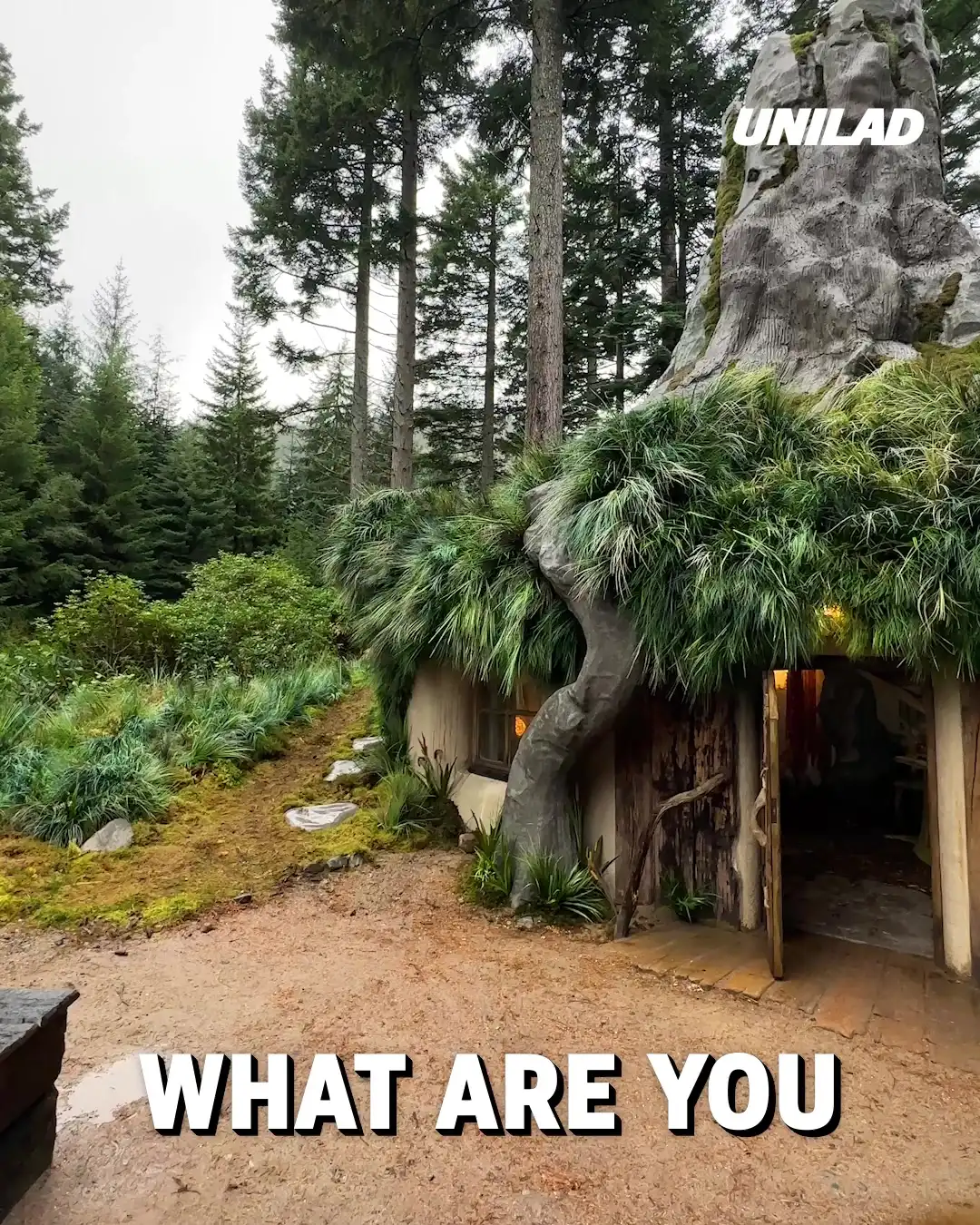 You can now visit Shrek's swamp house in real life