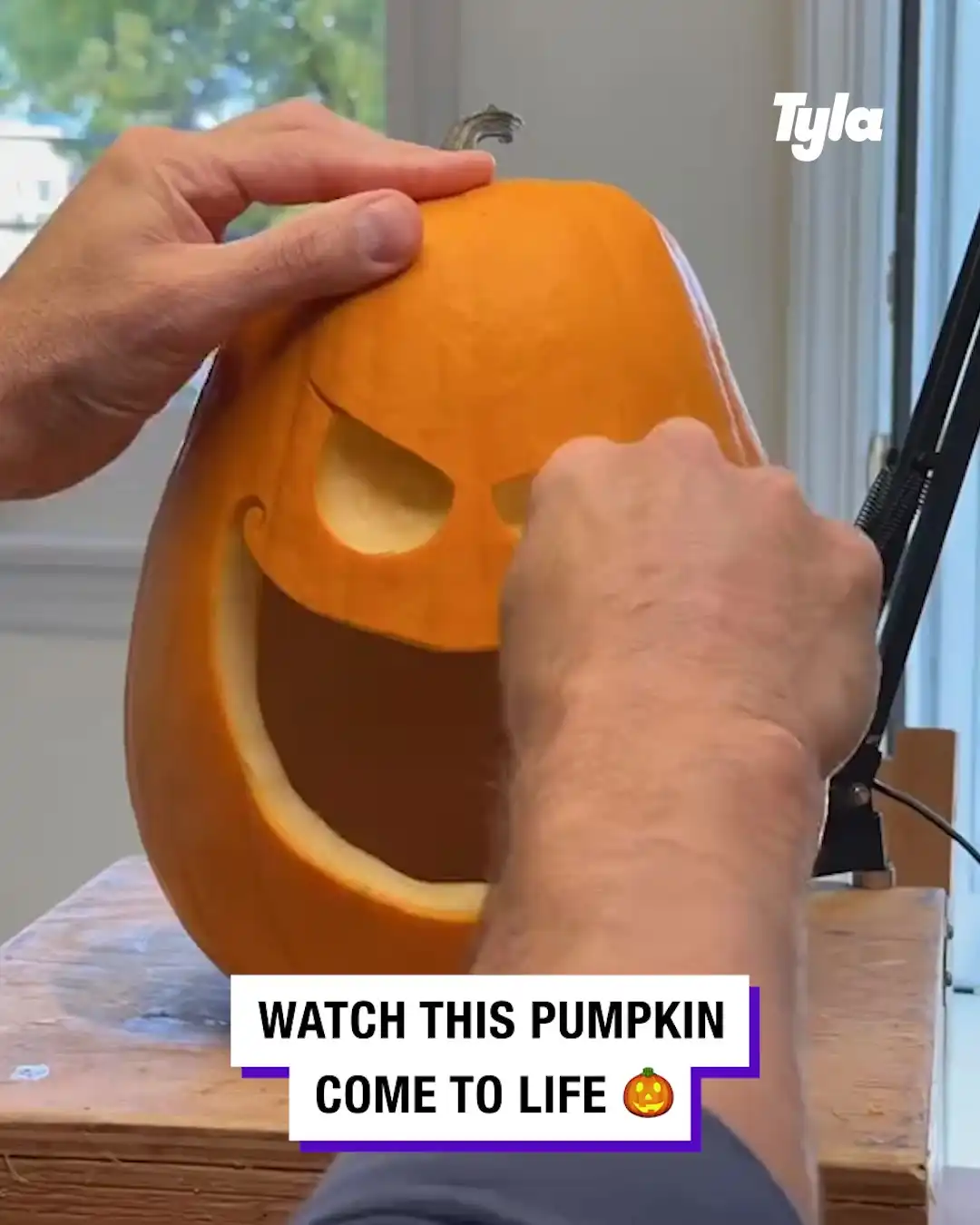 Watch this pumpkin come to life 🎃