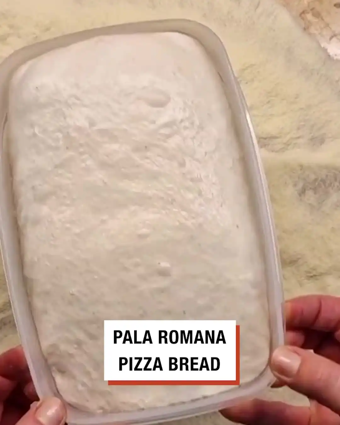 Pala Romana Pizza Bread 🍕🍞