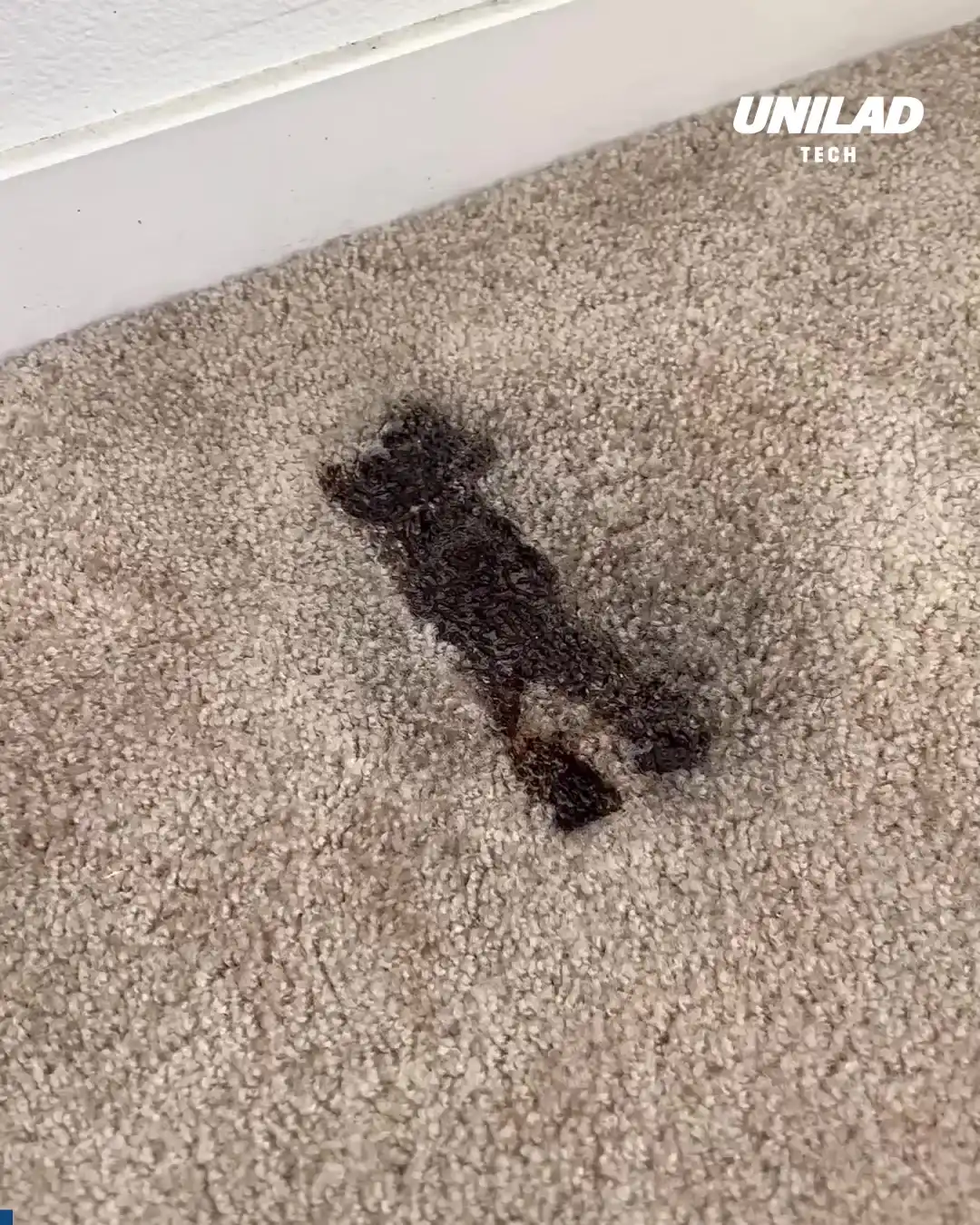 Repairing a burnt carpet