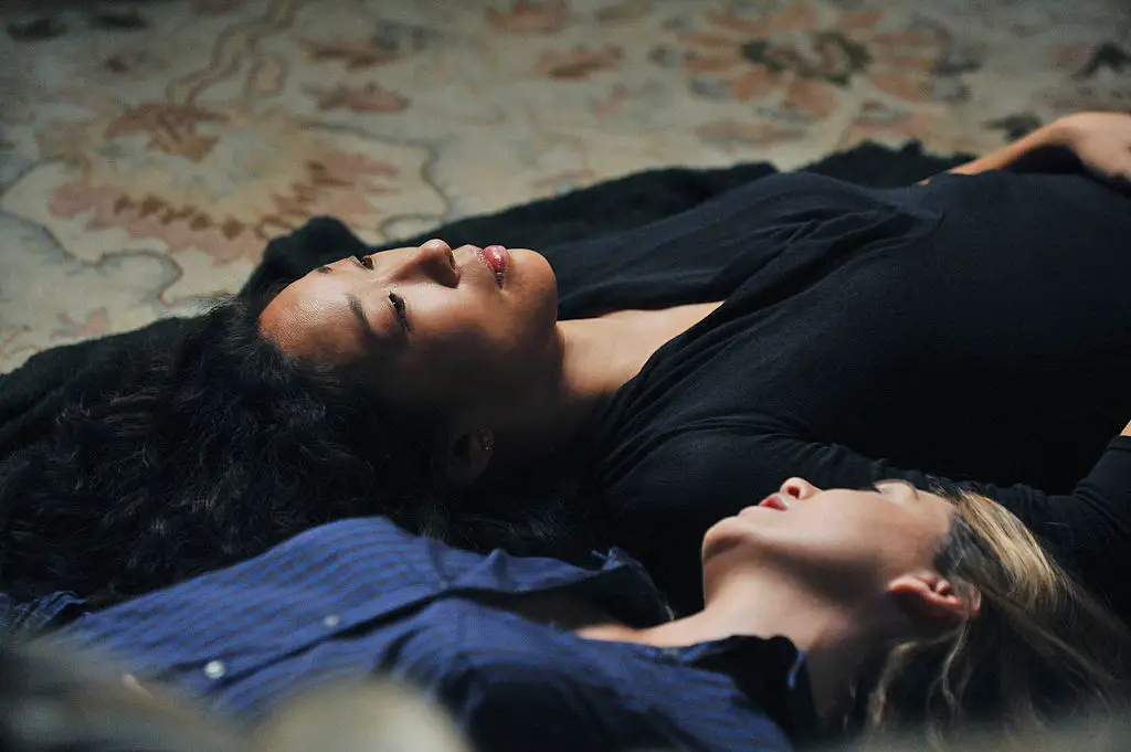 GREY S ANATOMY Cristina and meredth