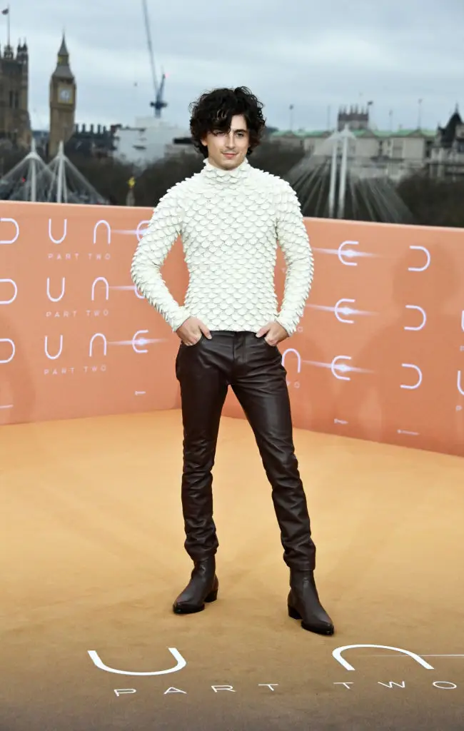 timothee chalamet dune