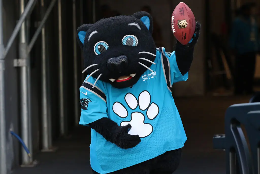 sir purr mascot