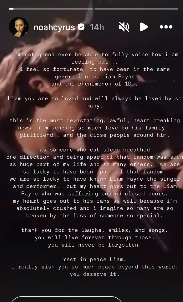 Noah Cyrus Liam Payne