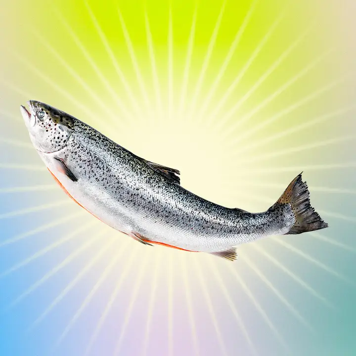 Kim K salmon sperm facial