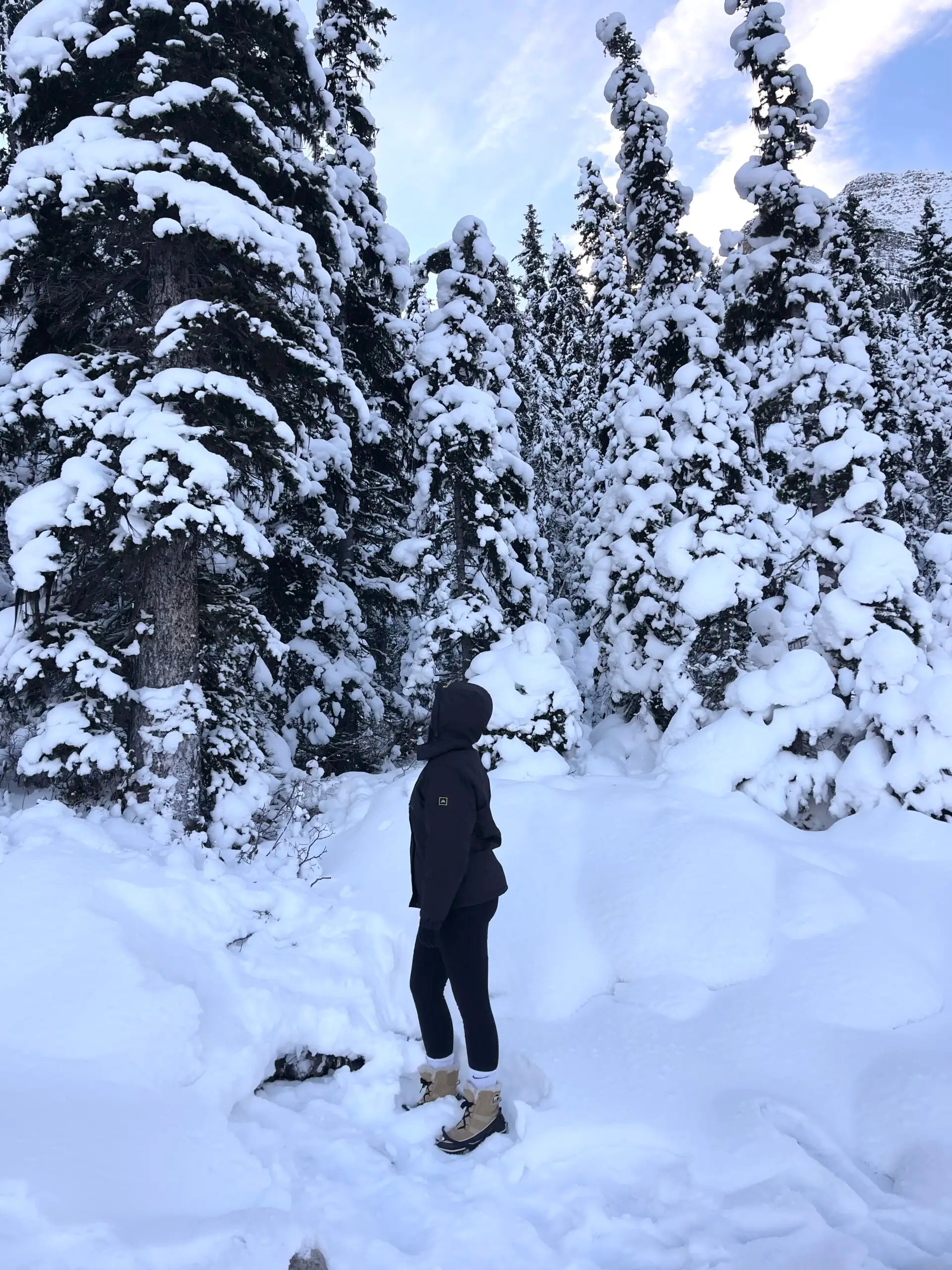 alberta canada in winter time banff and canmore