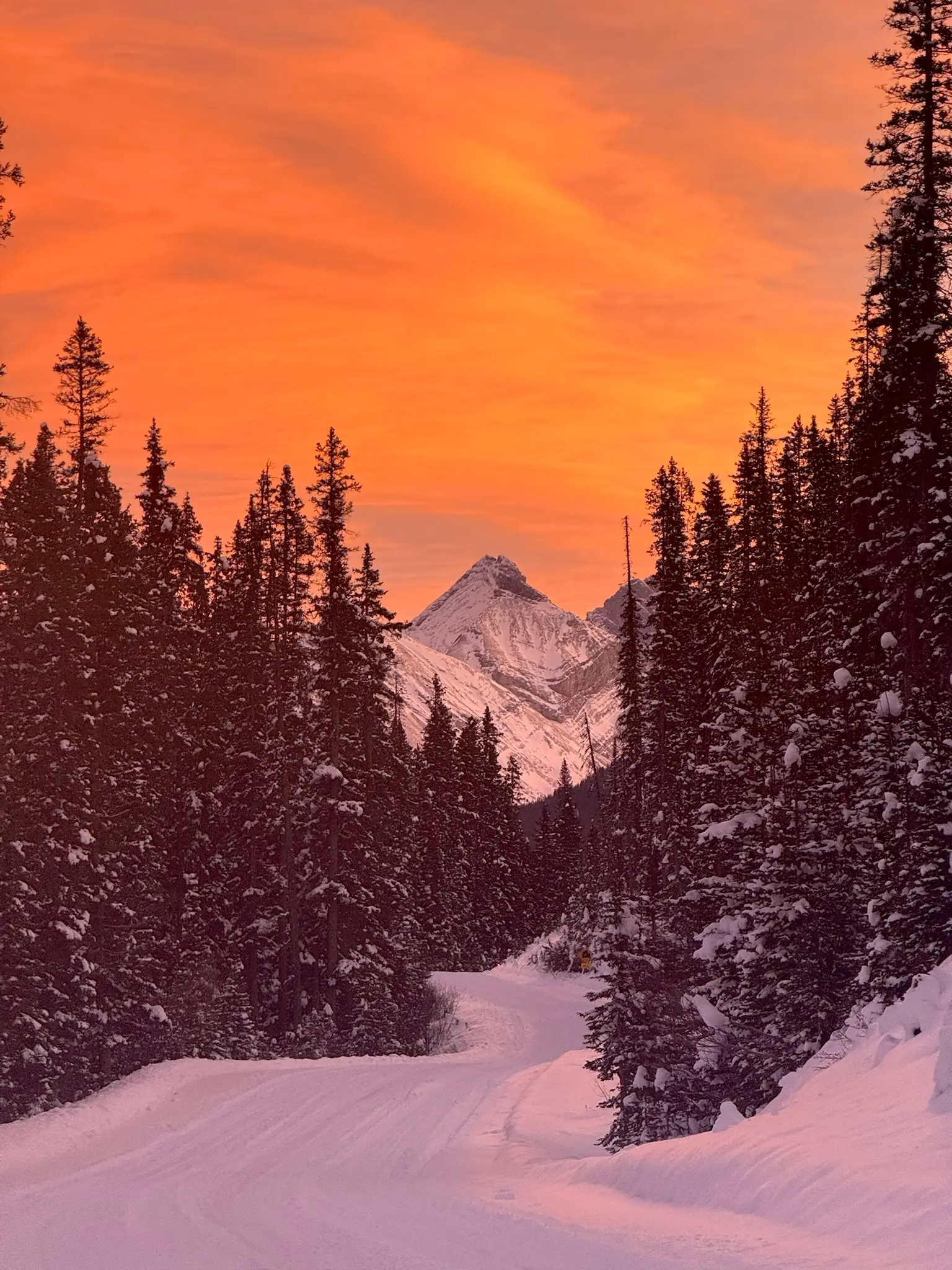 alberta canada in winter time banff and canmore