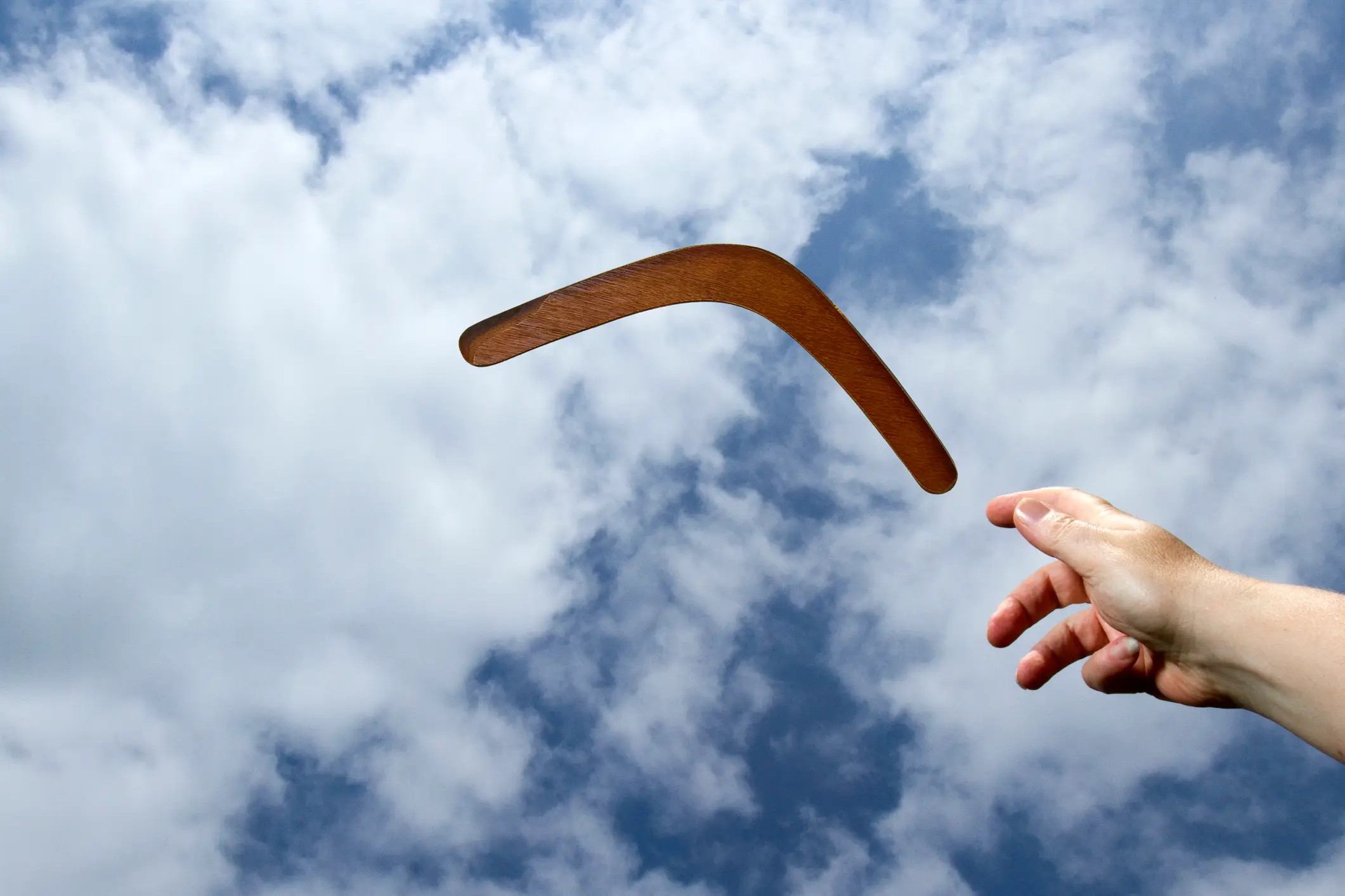what is the boomerang effect?