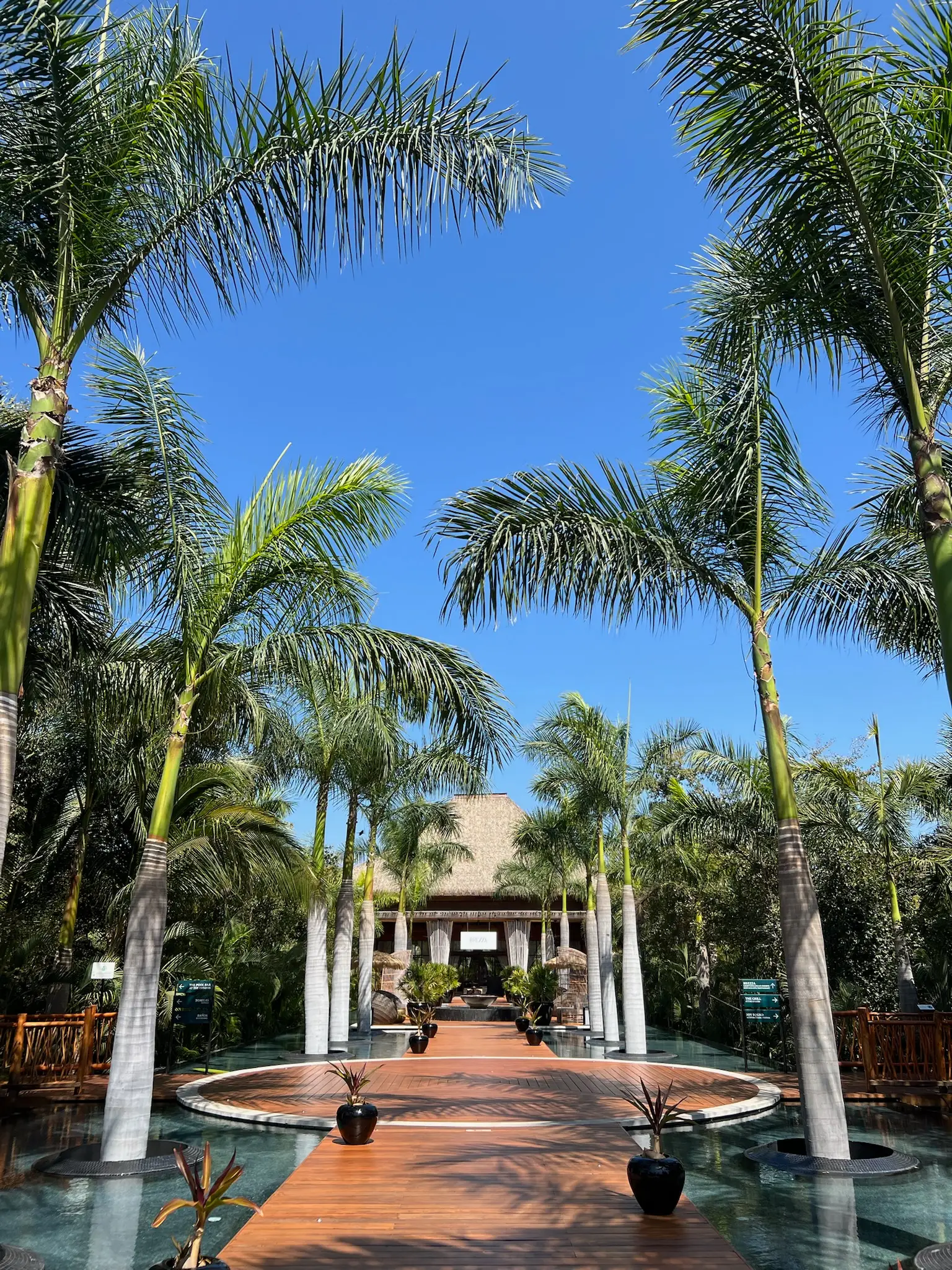 Vidanta Pool The Estates