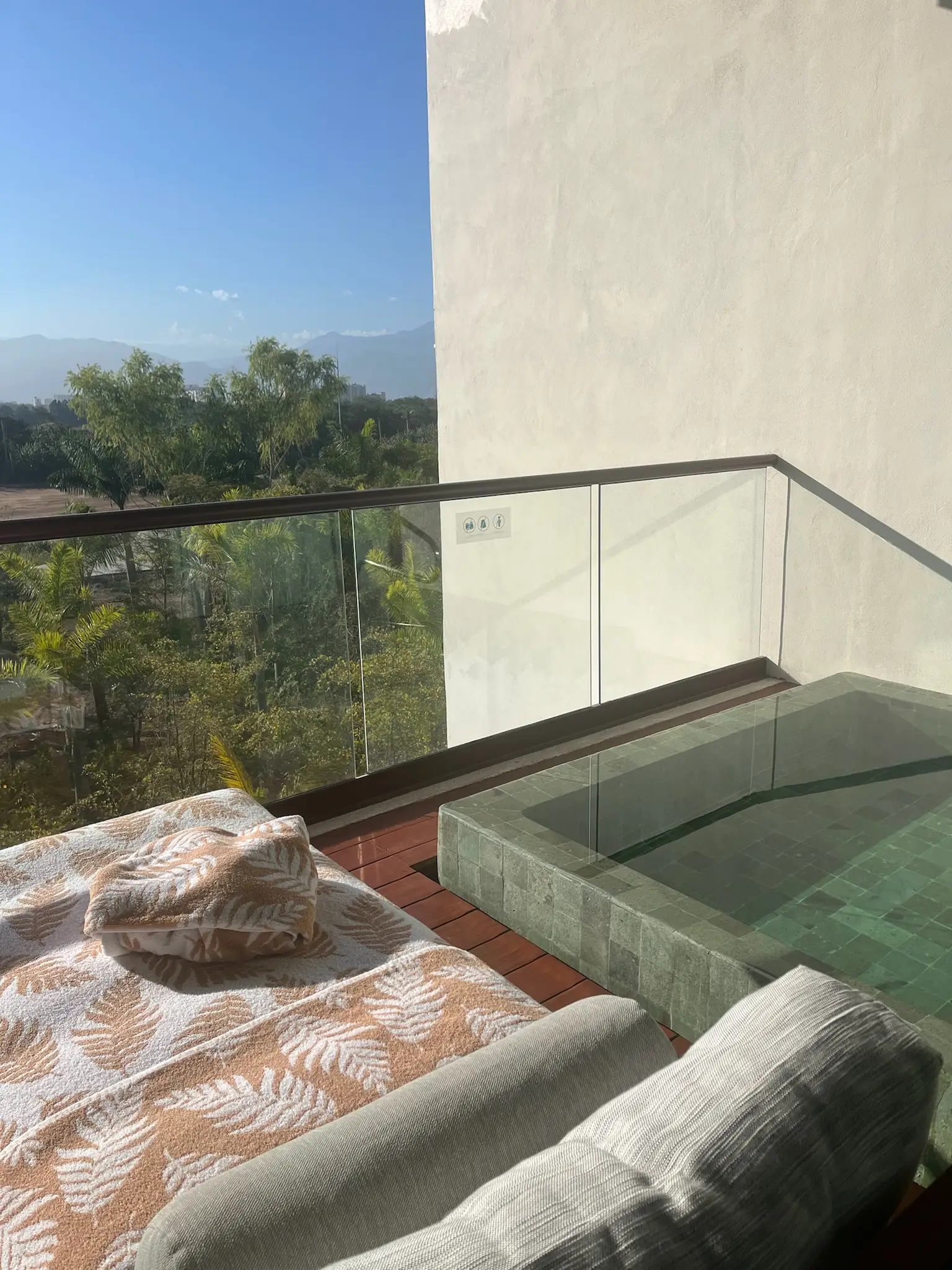 Vidanta Room Plunge Pool