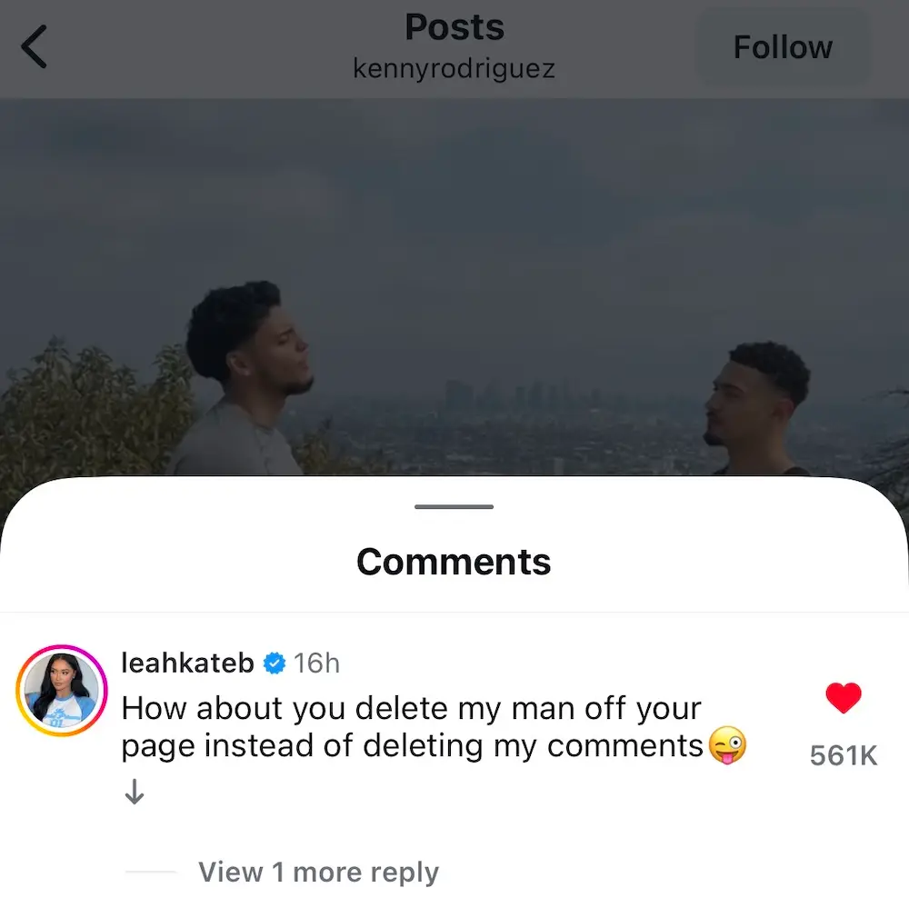 Leah Kateb Kenny comment