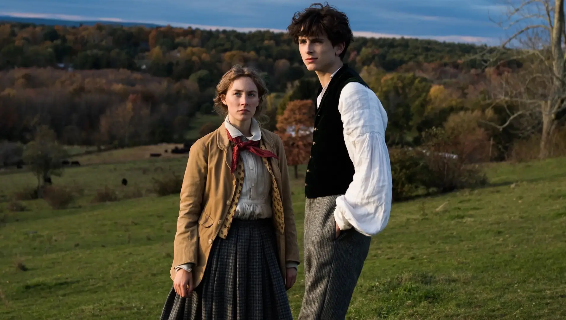 Little Women (2019) - Laurie Proposes to Jo Scene