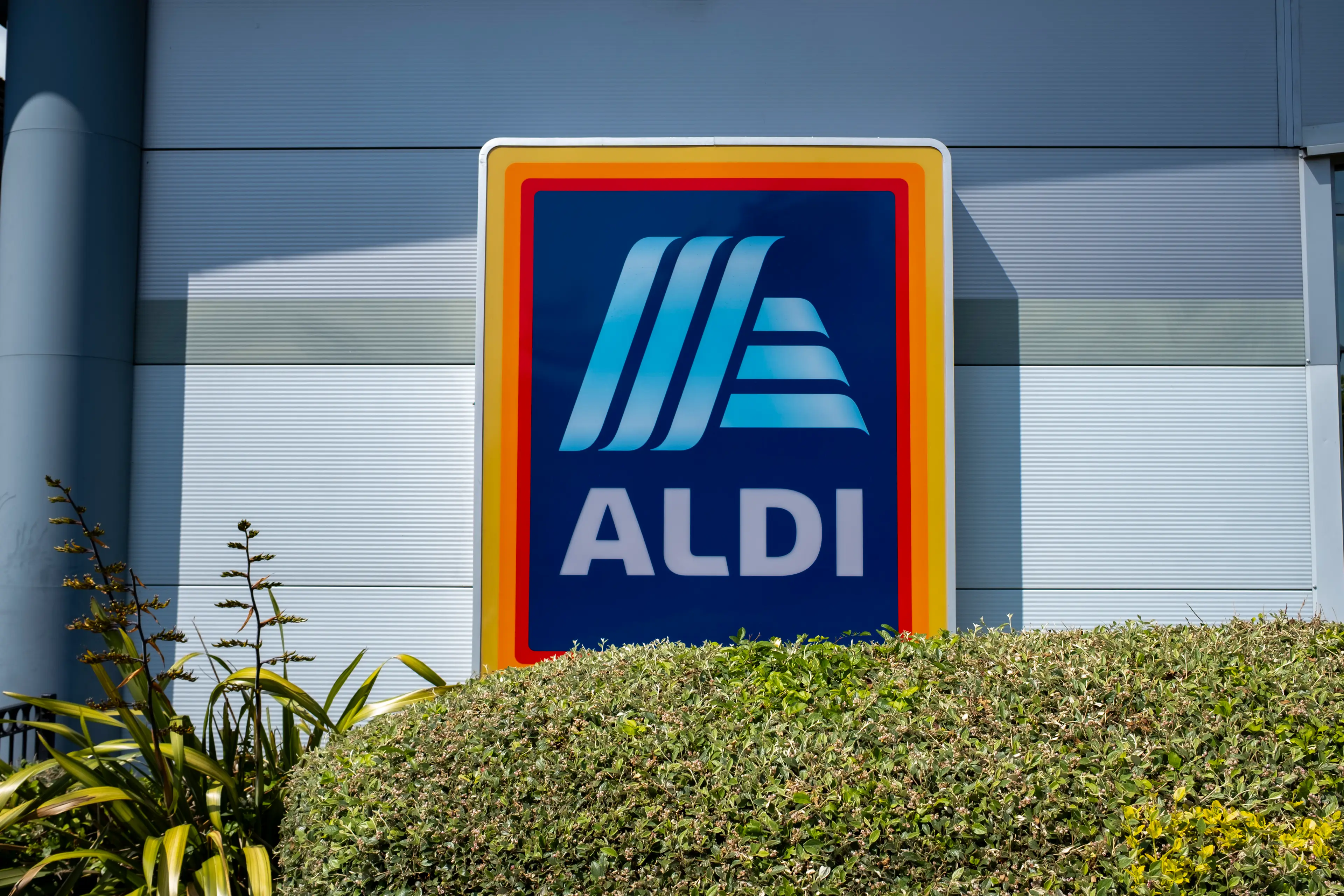 Aldi has said its ice cream sales are up by 25% compared with 2024 (Mike Kemp / Contributor/Getty Images)