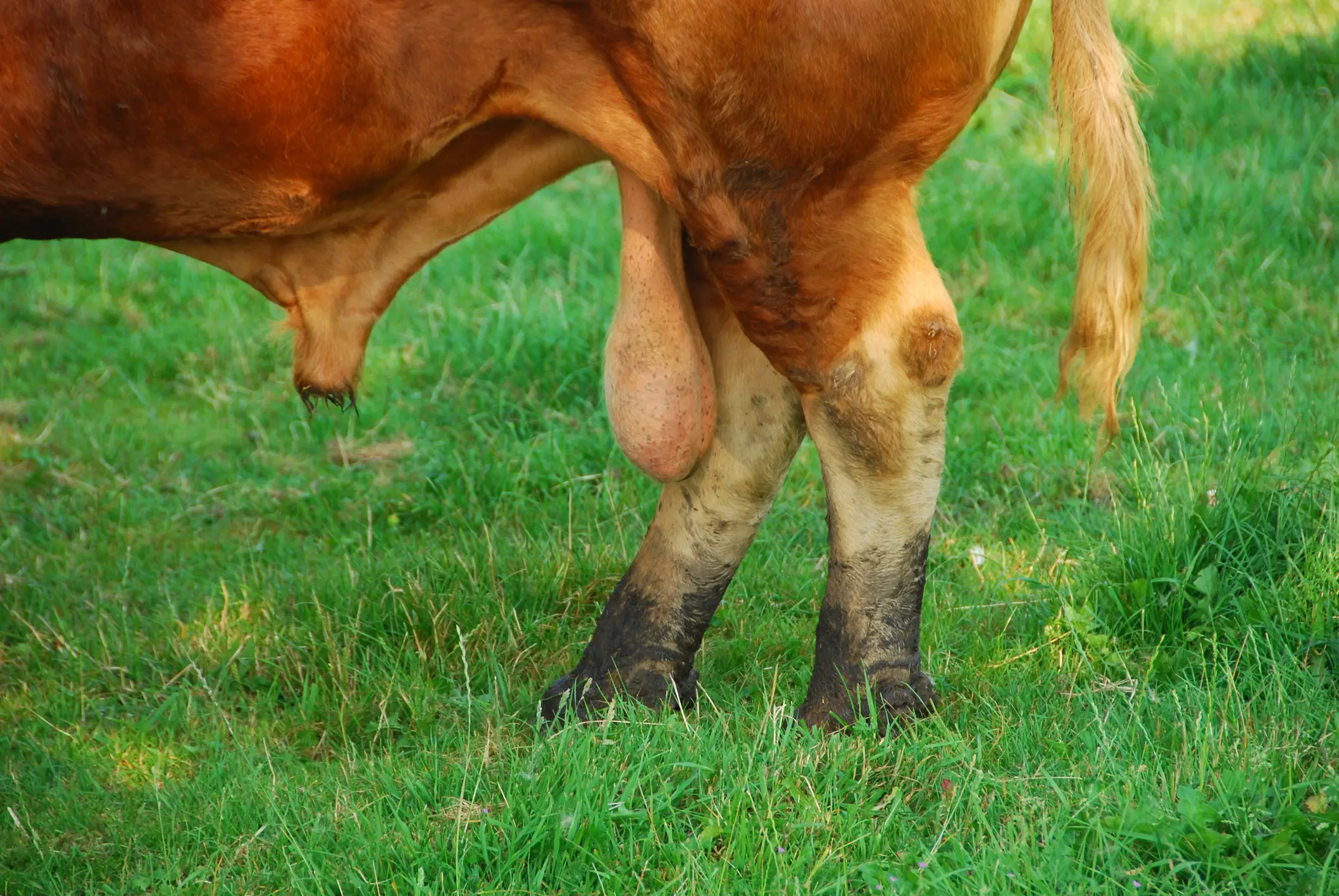 The Sex Pistols had an album about these (49pauly/Getty Images)