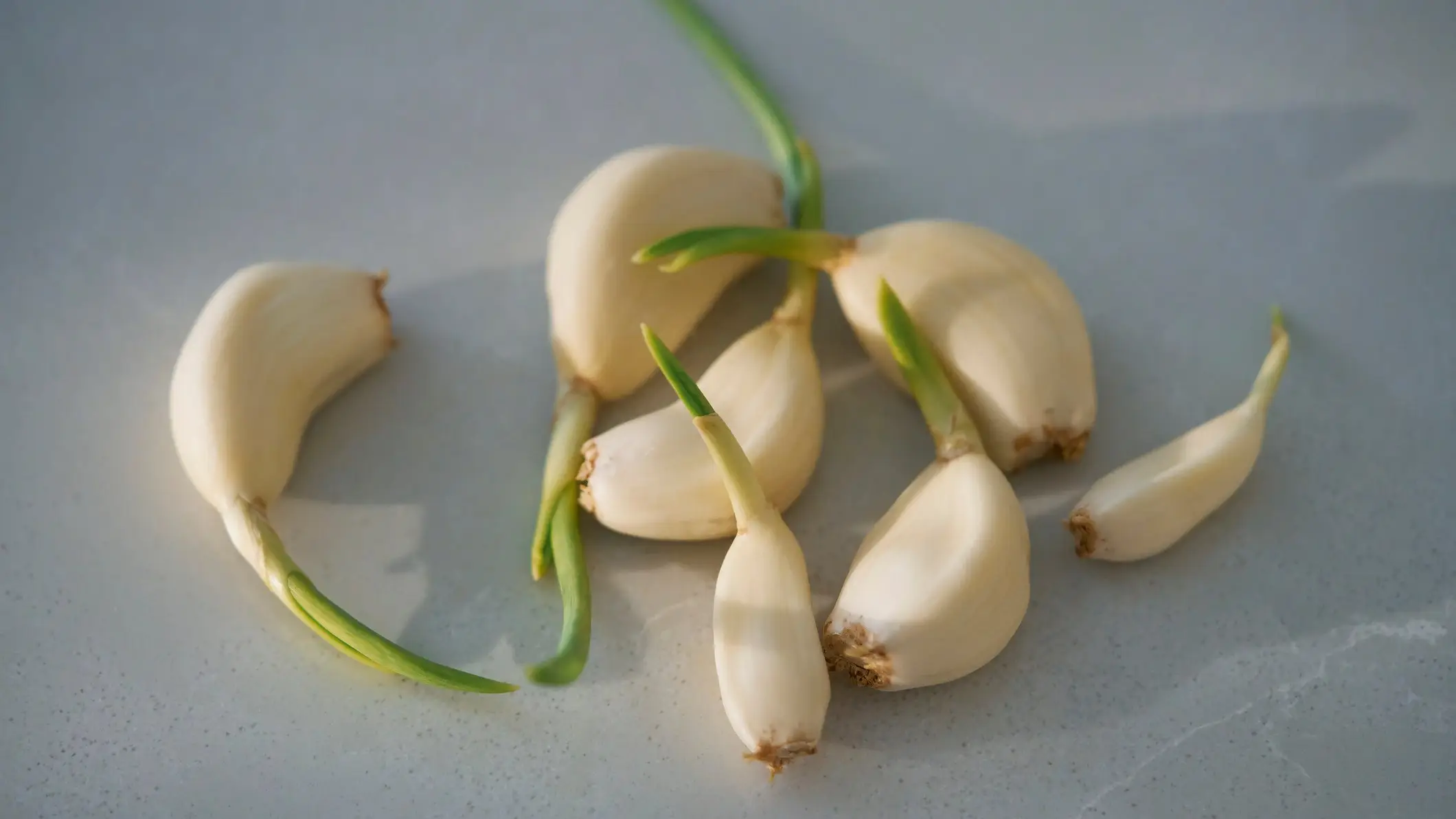 Norman Posselt/Getty Images