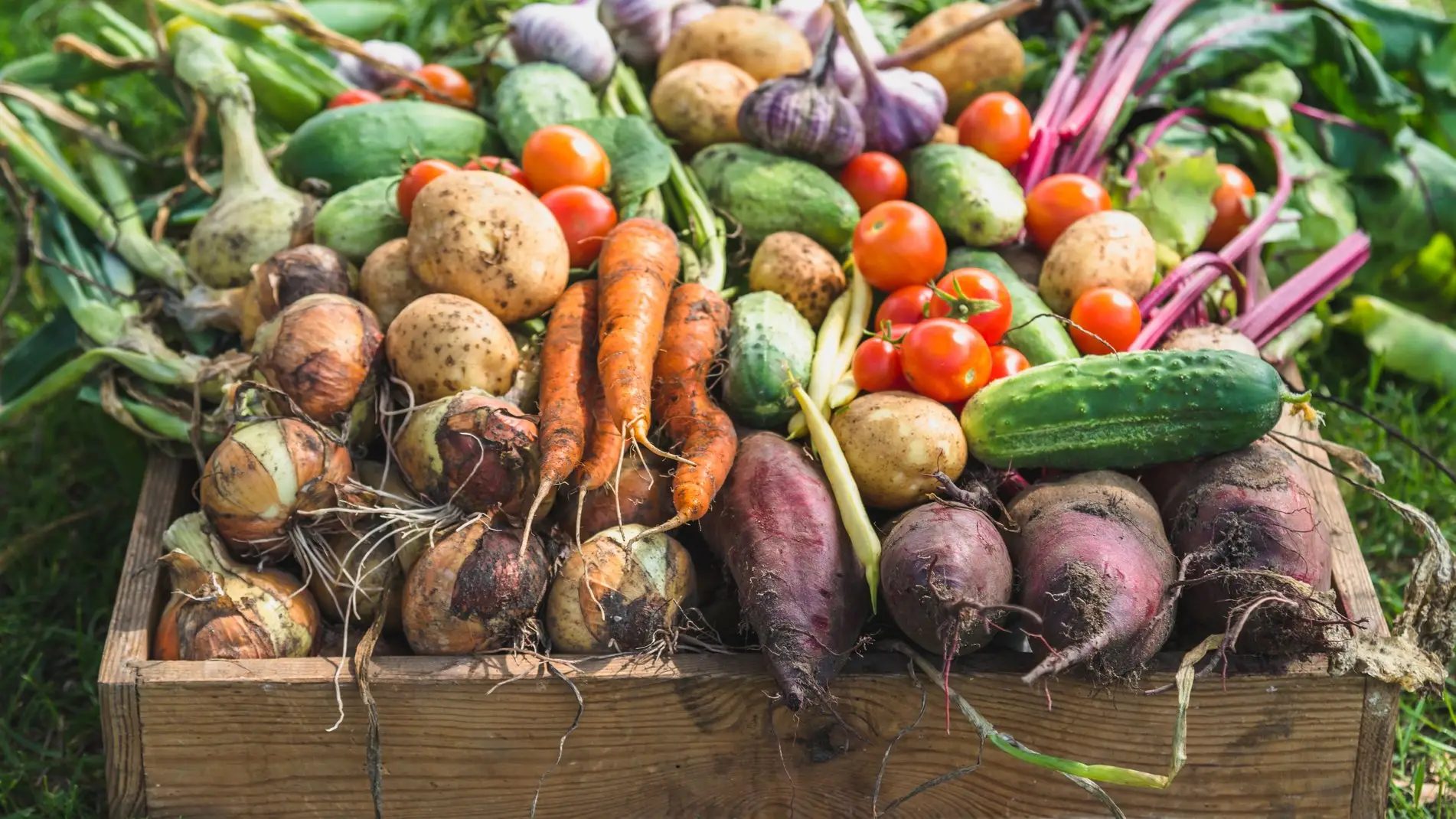 alicjane/Getty Images