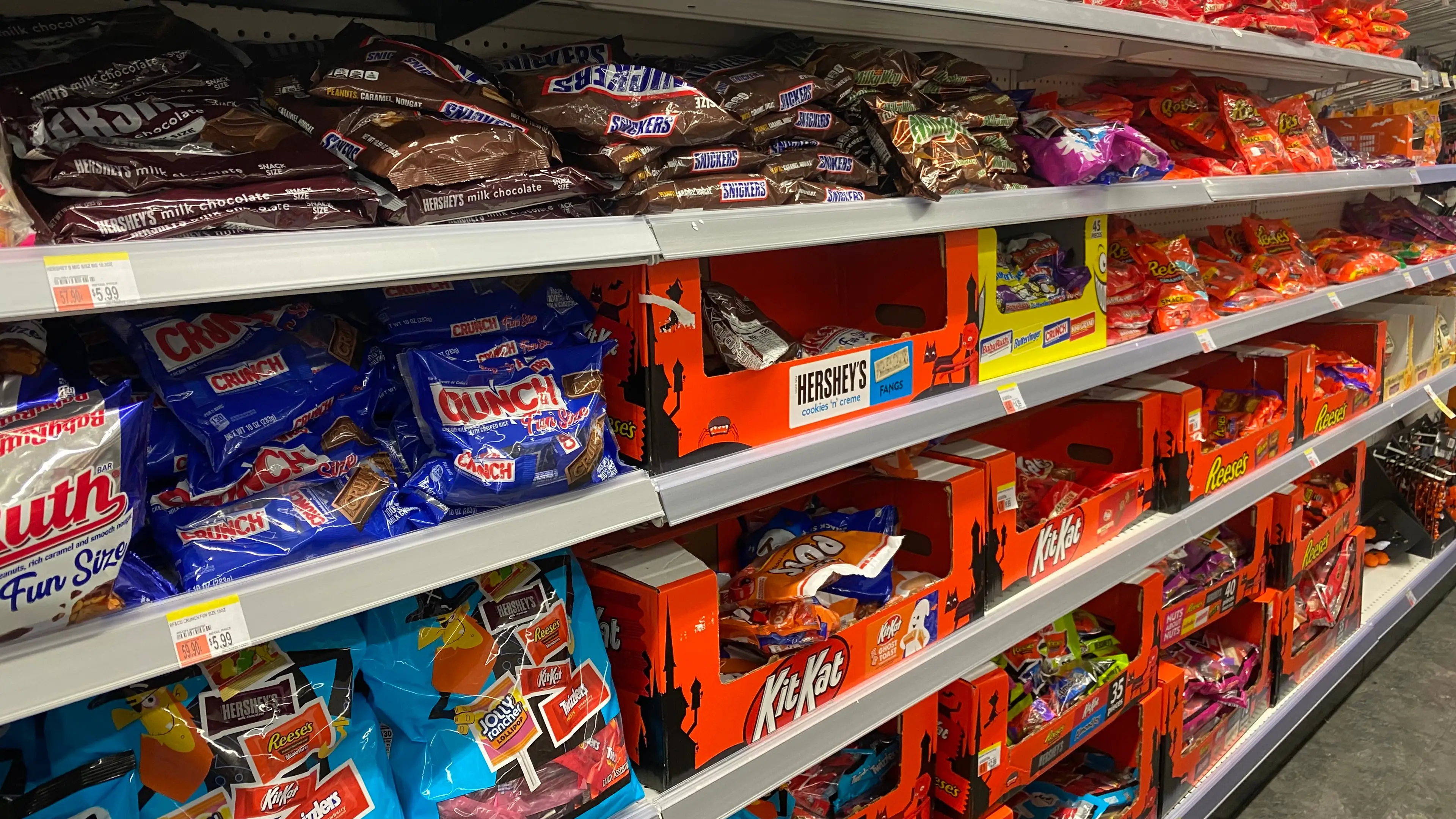 Lindsey Nicholson/UCG/Universal Images Group via Getty Images