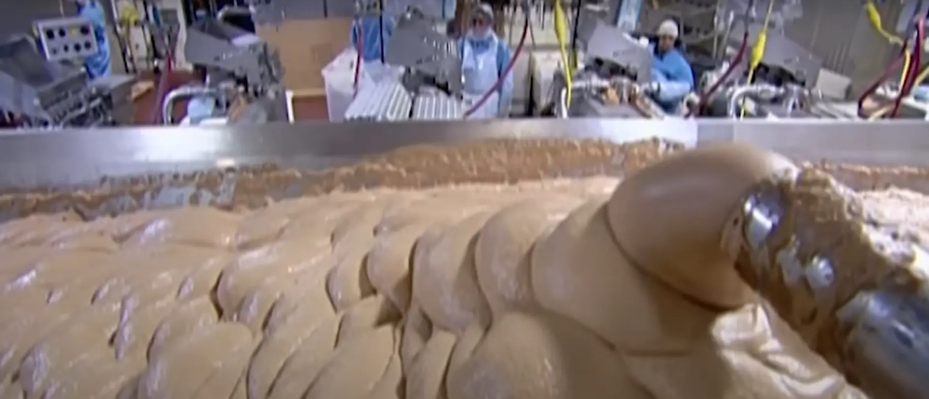 The pre-casing puree mix (Discovery)