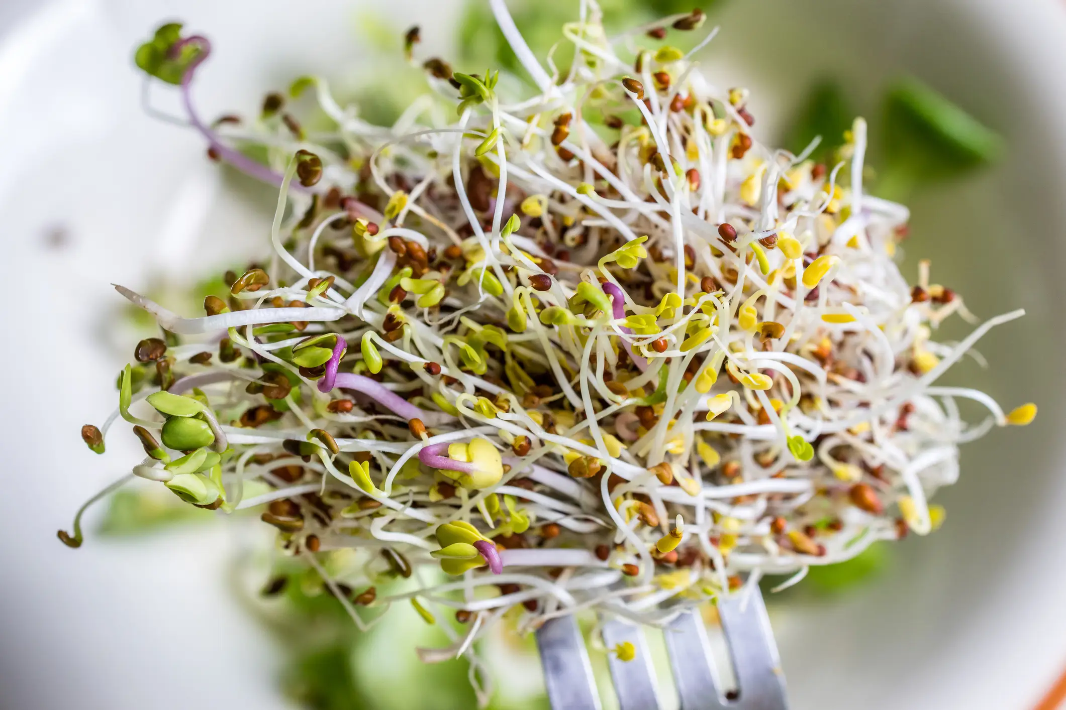 Customers are being warned not to eat the alfalfa sprouts (Getty Stock)
