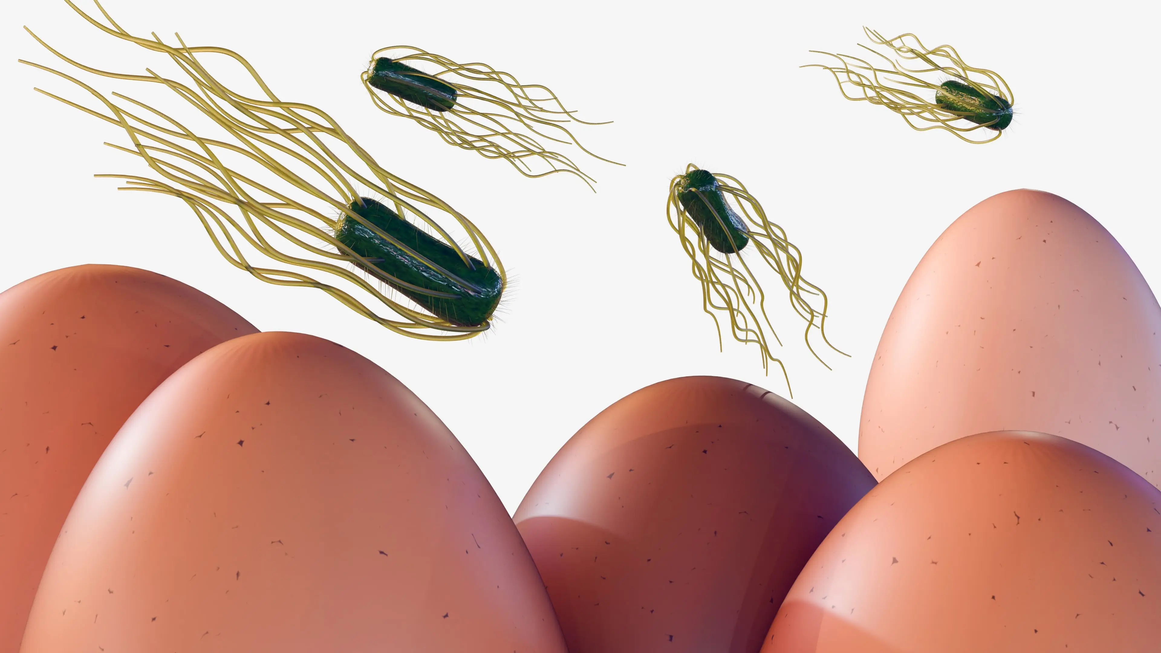 Salmonella can be life-threatening (Love Employee/Getty Images)