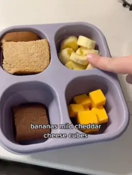 Karlie's packed dinner for her kid's meal out (@unbreakablemomma/TikTok)