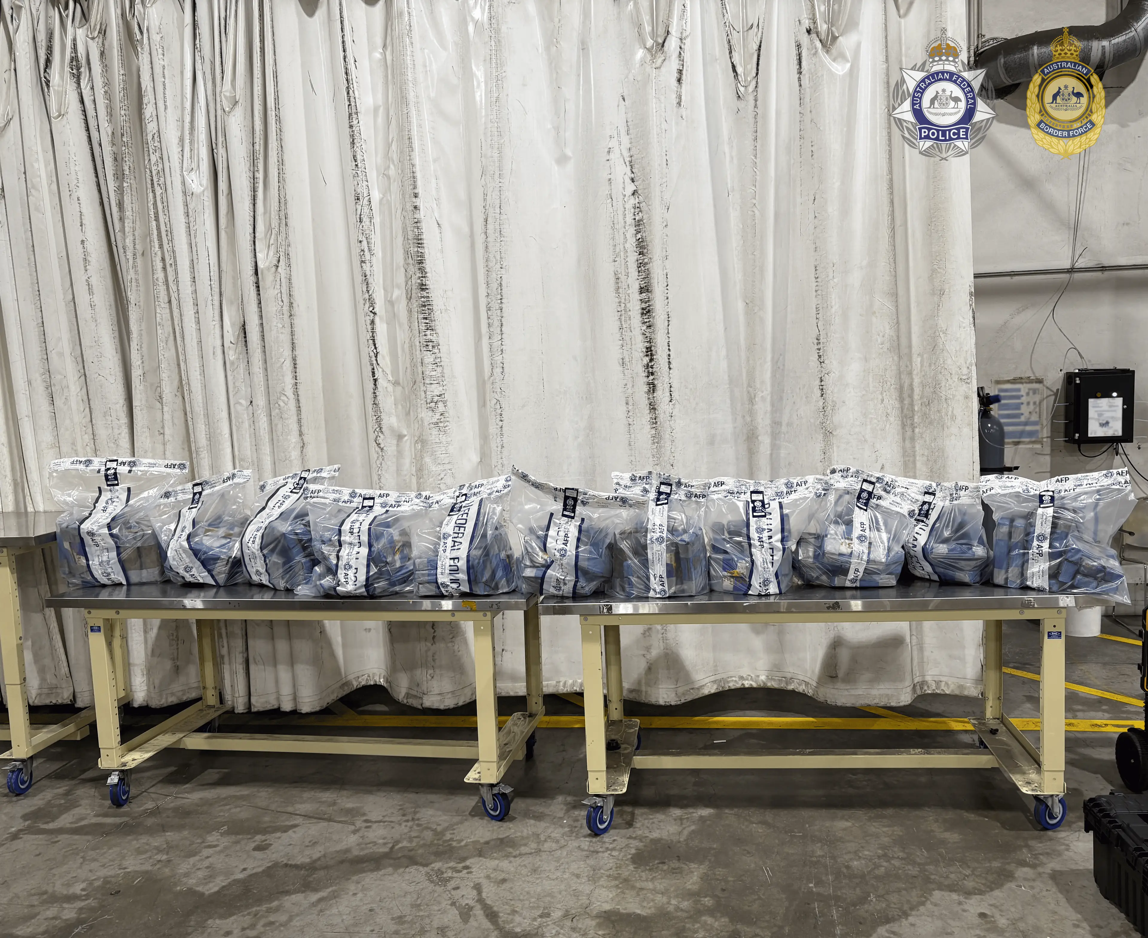 A report stated that 110, 1kg bricks had been seized from the frozen berry shipment (AFP)