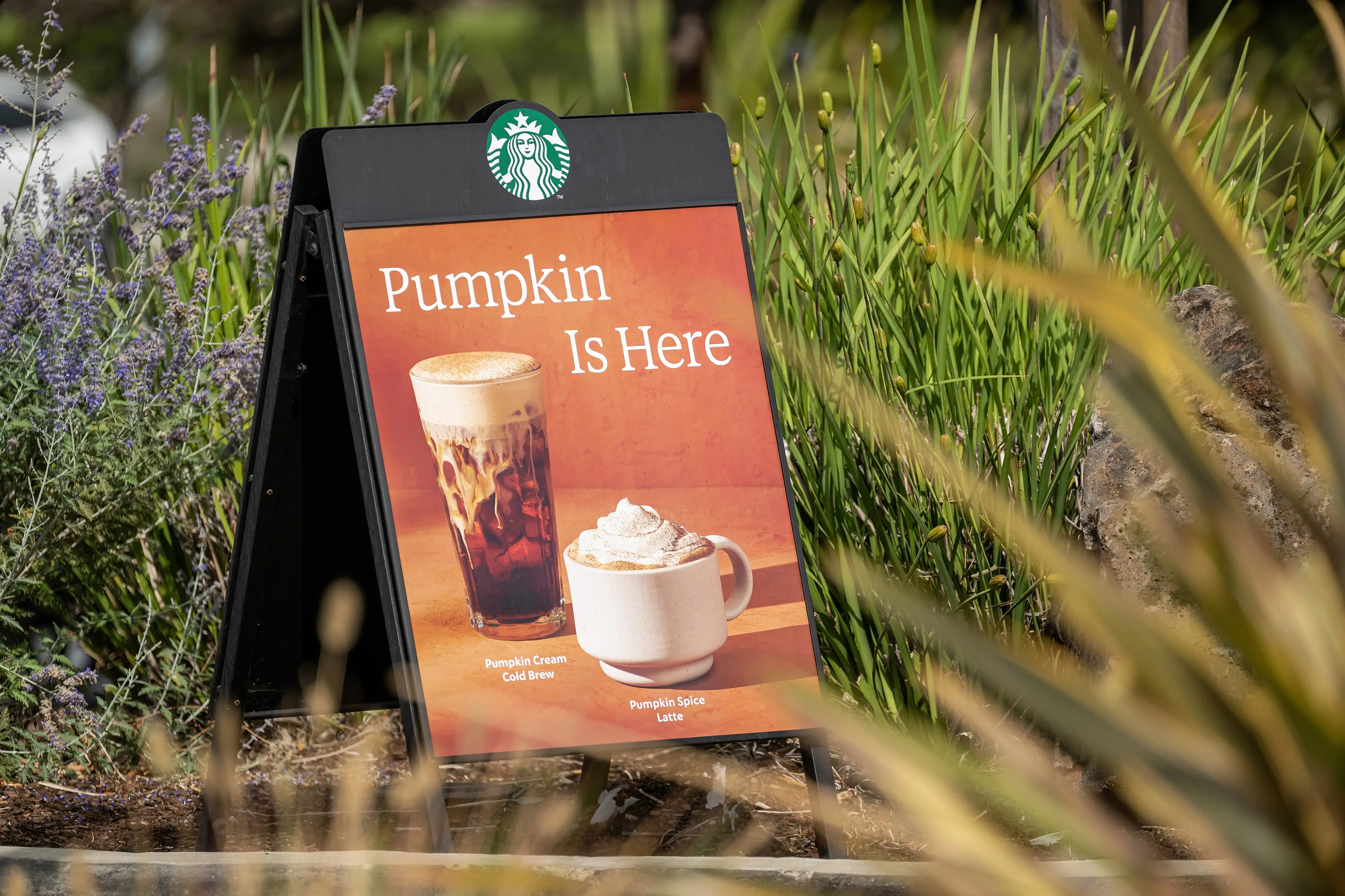 Fans love a pumpkin spice latte every year but have been dismayed by price increases for 2025 (David Paul Morris/Bloomberg via Getty Images)