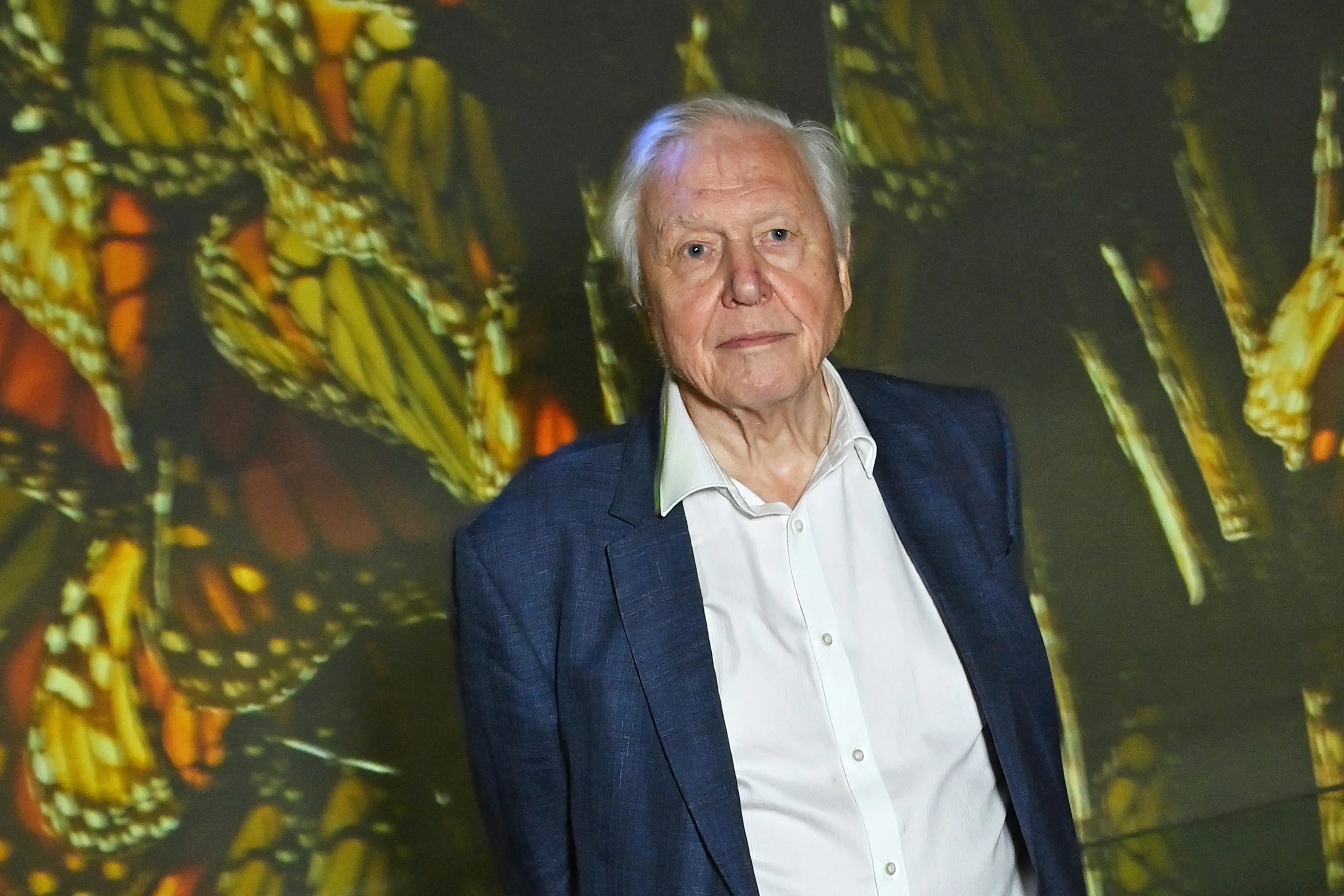 David Attenborough turned 100 on Friday (Dave Benett/Getty Images)