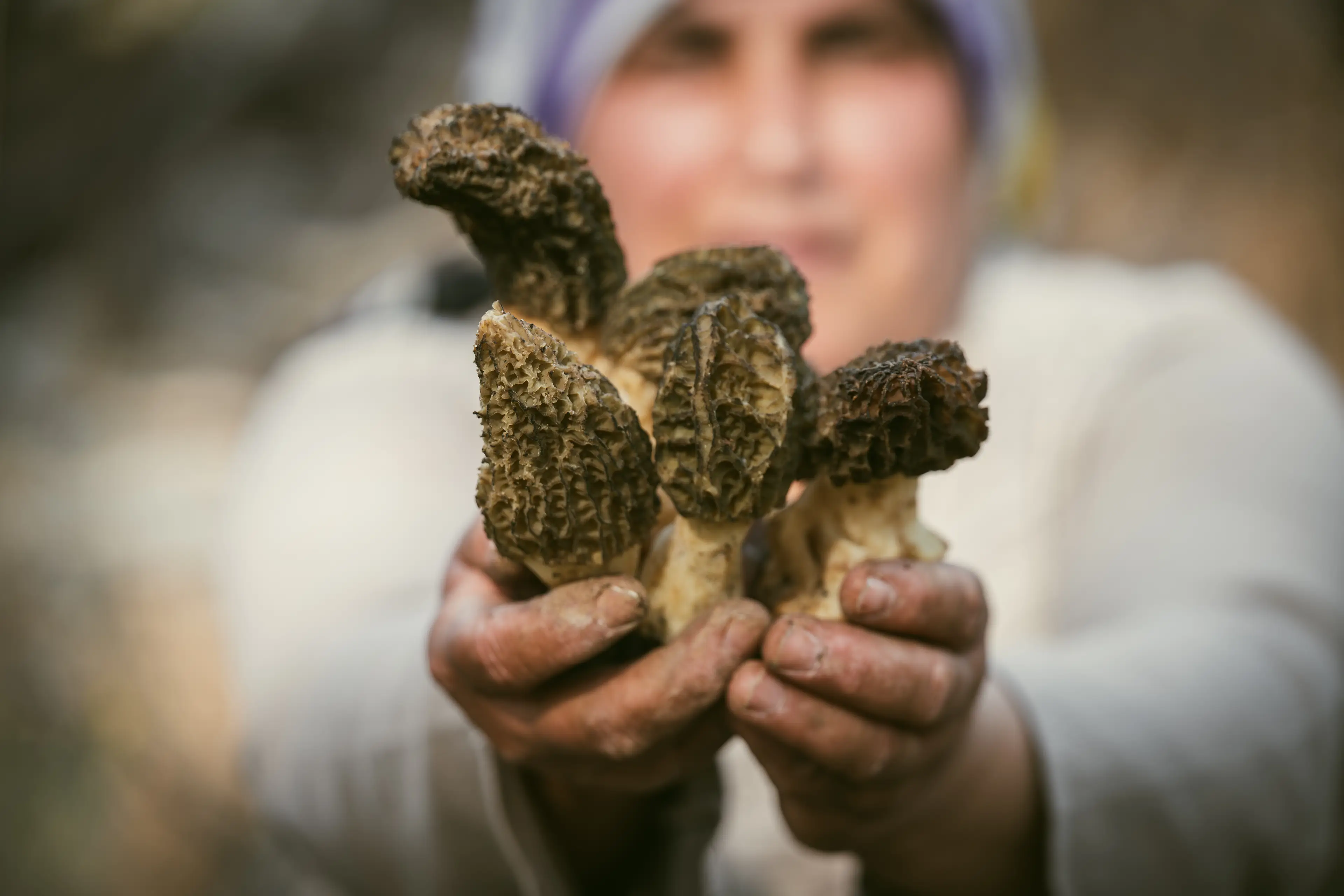 Morel featured in the main dish served at The Met Gala (Mustafa Hatipoglu/Anadolu via Getty Images)