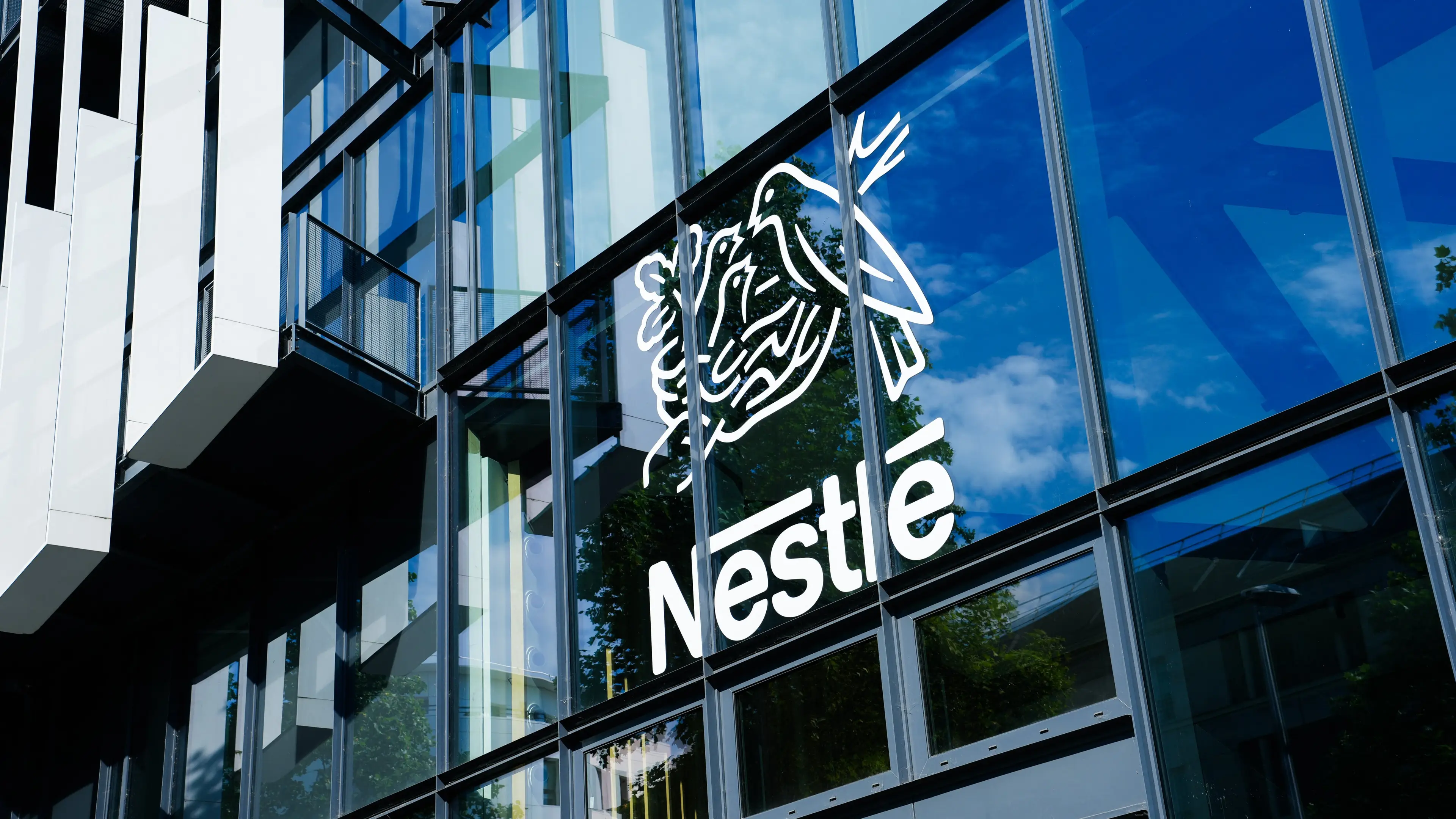 DANIEL DORKO / Contributor/Getty Images